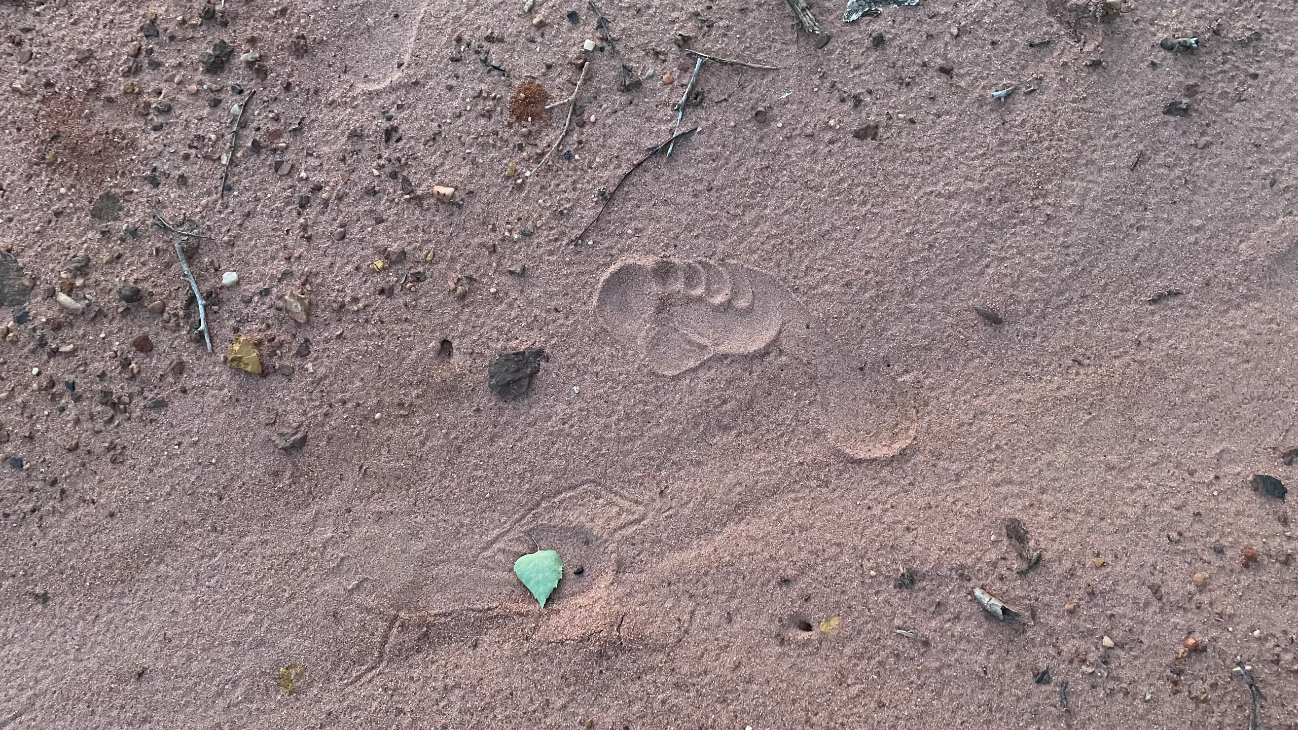 10 906 Пески белые, розовые. ВИЗУАЛЬНЫЕ И ЗВУКОВЫЕ РЕШЕНИЯ ДЛЯ БИЗНЕСА И СЪЁМОК ТЕЛЕТЕЛА