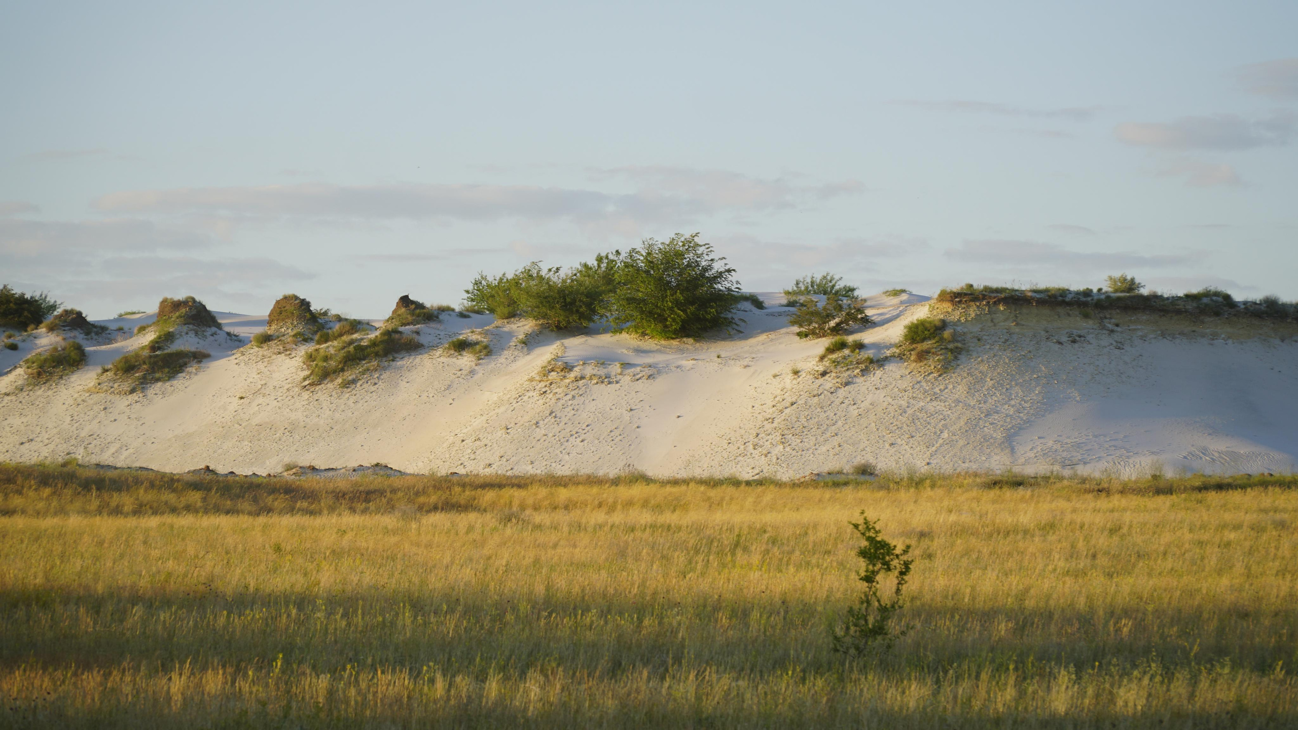 10 751 Степь. Пески белые. ВИЗУАЛЬНЫЕ И ЗВУКОВЫЕ РЕШЕНИЯ ДЛЯ БИЗНЕСА И СЪЁМОК ТЕЛЕТЕЛА