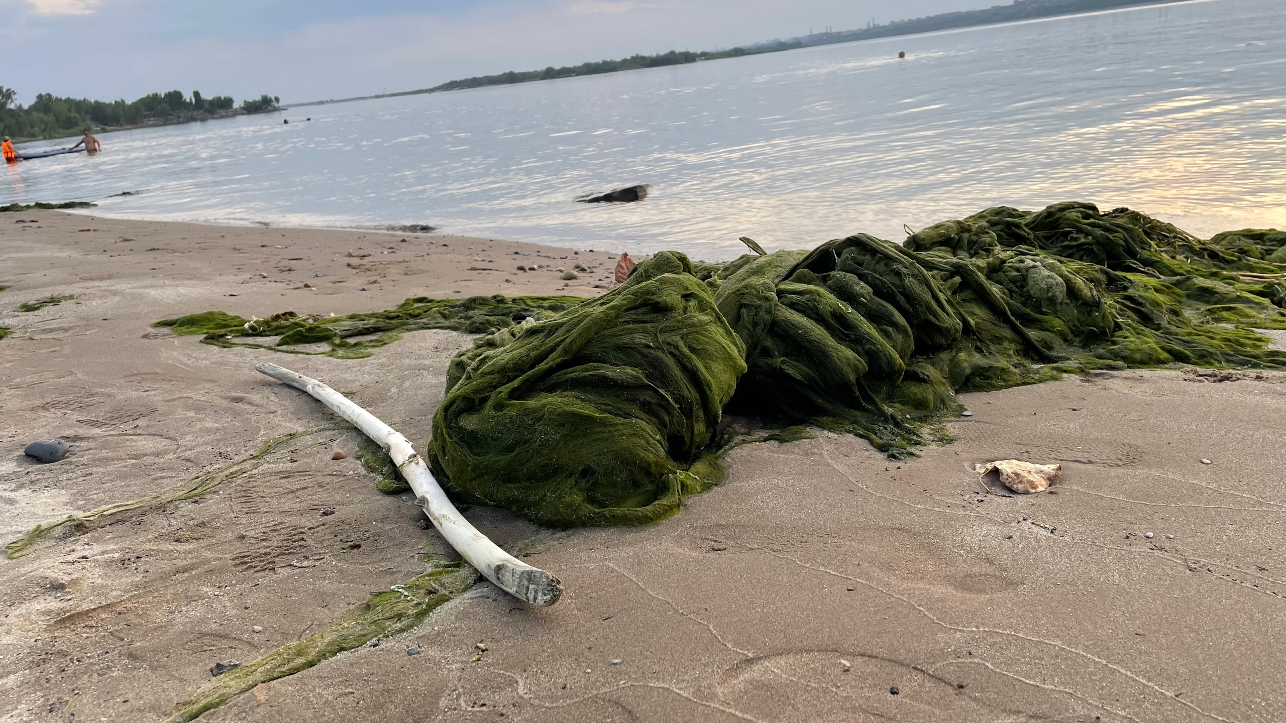 10 012 Берег. ВИЗУАЛЬНЫЕ И ЗВУКОВЫЕ РЕШЕНИЯ ДЛЯ БИЗНЕСА И СЪЁМОК ТЕЛЕТЕЛА