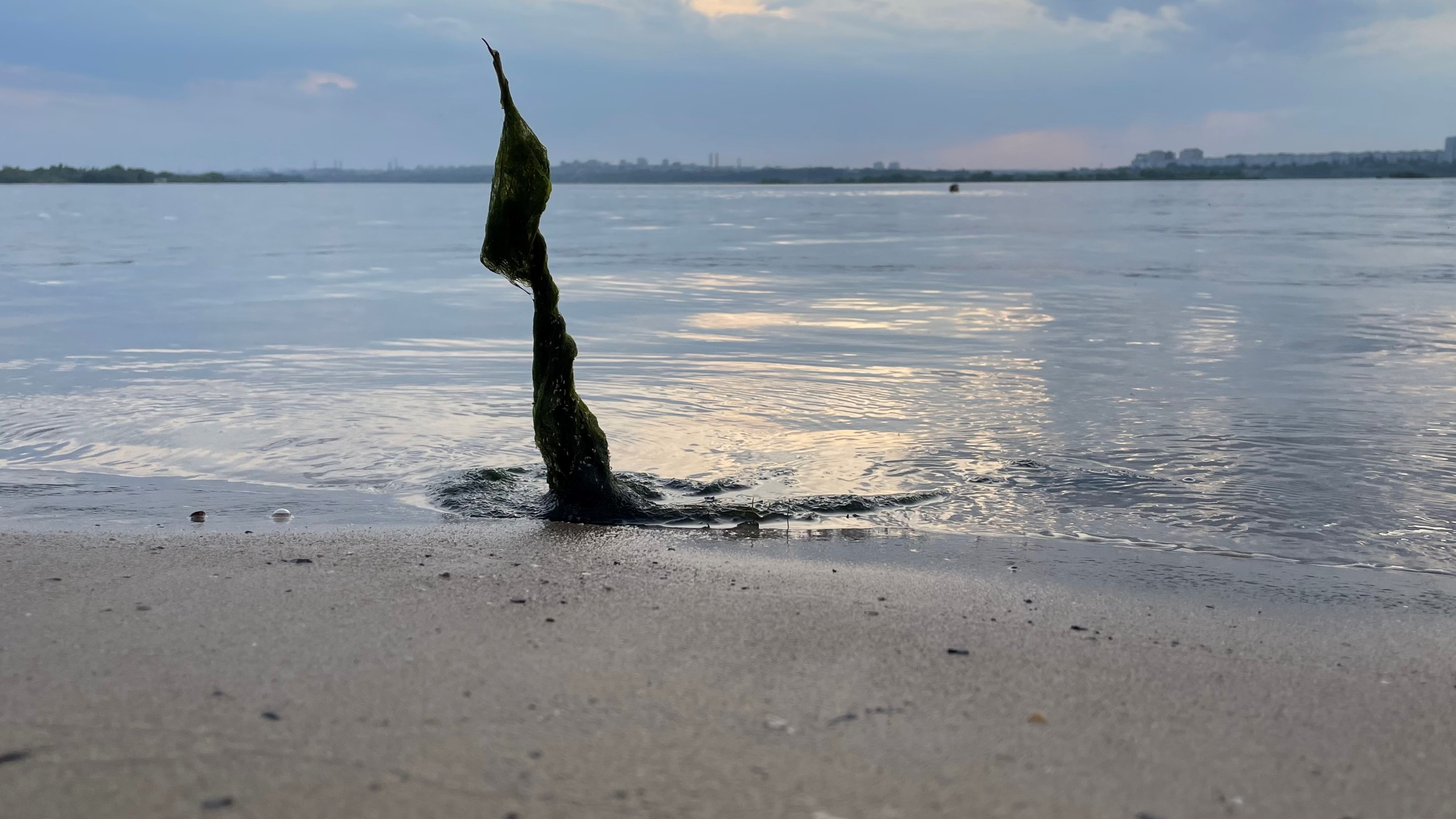 10 021 Берег. ВИЗУАЛЬНЫЕ И ЗВУКОВЫЕ РЕШЕНИЯ ДЛЯ БИЗНЕСА И СЪЁМОК ТЕЛЕТЕЛА