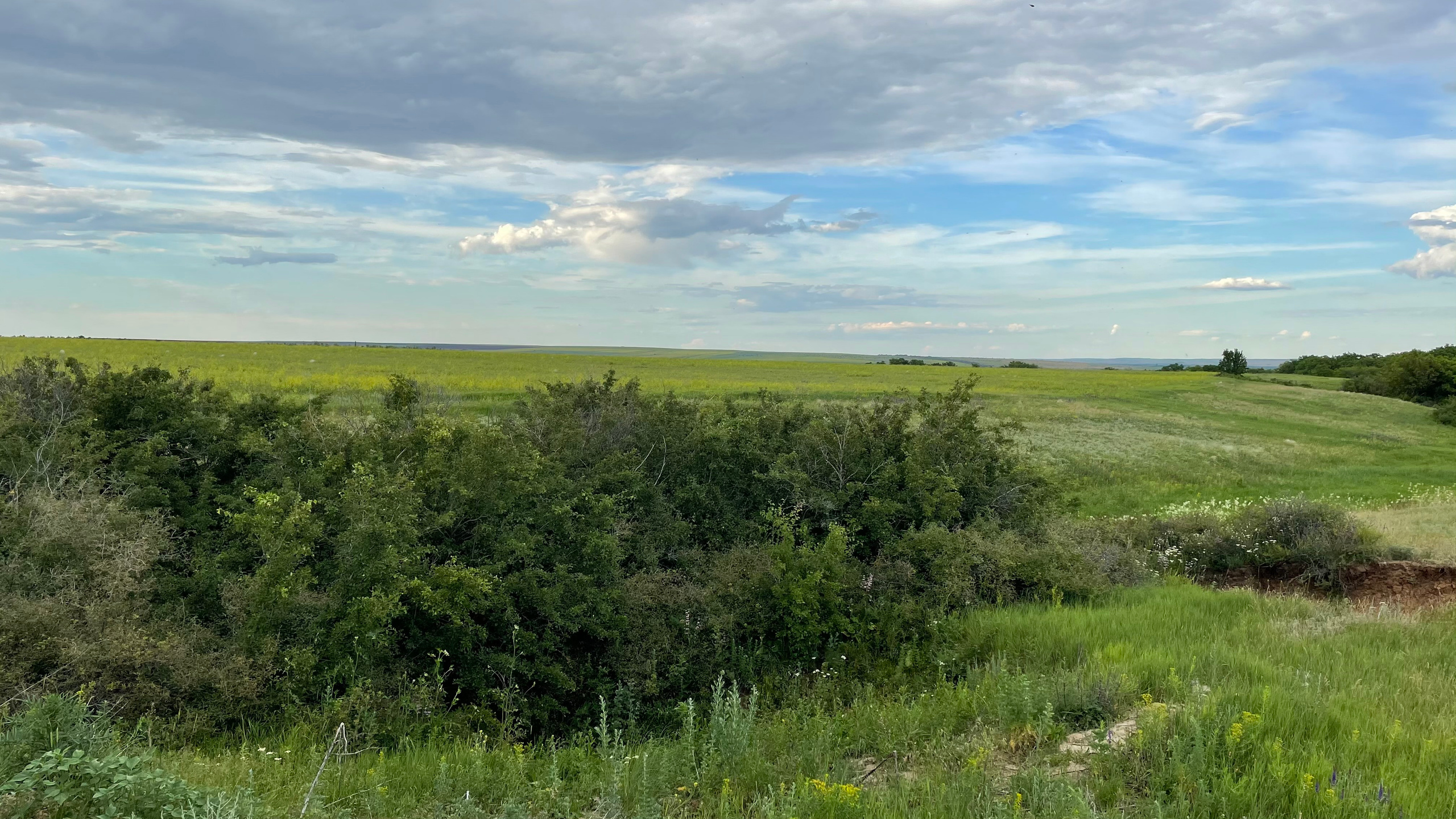 10 600 Степь. Овраг. ВИЗУАЛЬНЫЕ И ЗВУКОВЫЕ РЕШЕНИЯ ДЛЯ БИЗНЕСА И СЪЁМОК ТЕЛЕТЕЛА