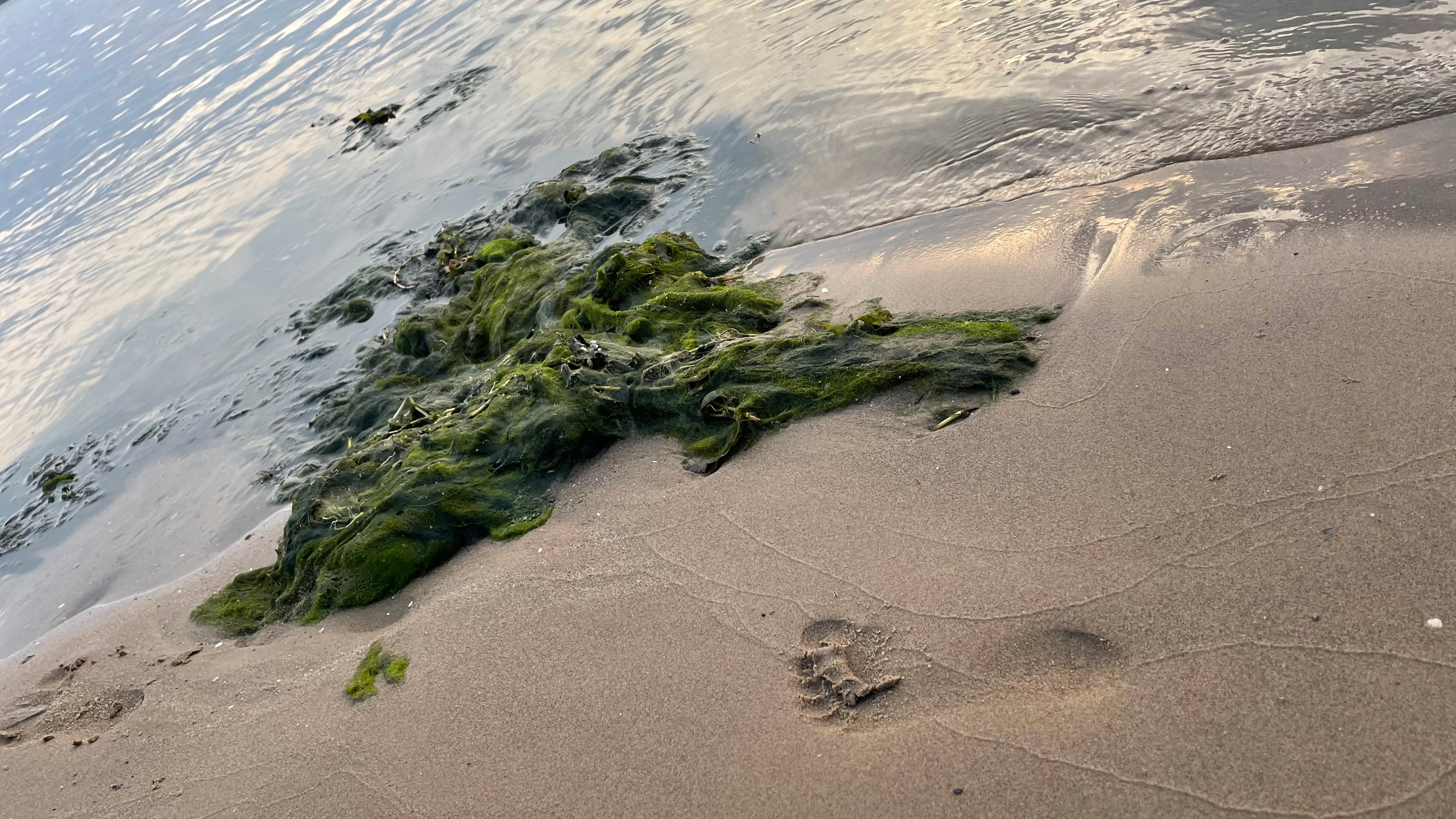 10 021 Берег. ВИЗУАЛЬНЫЕ И ЗВУКОВЫЕ РЕШЕНИЯ ДЛЯ БИЗНЕСА И СЪЁМОК ТЕЛЕТЕЛА