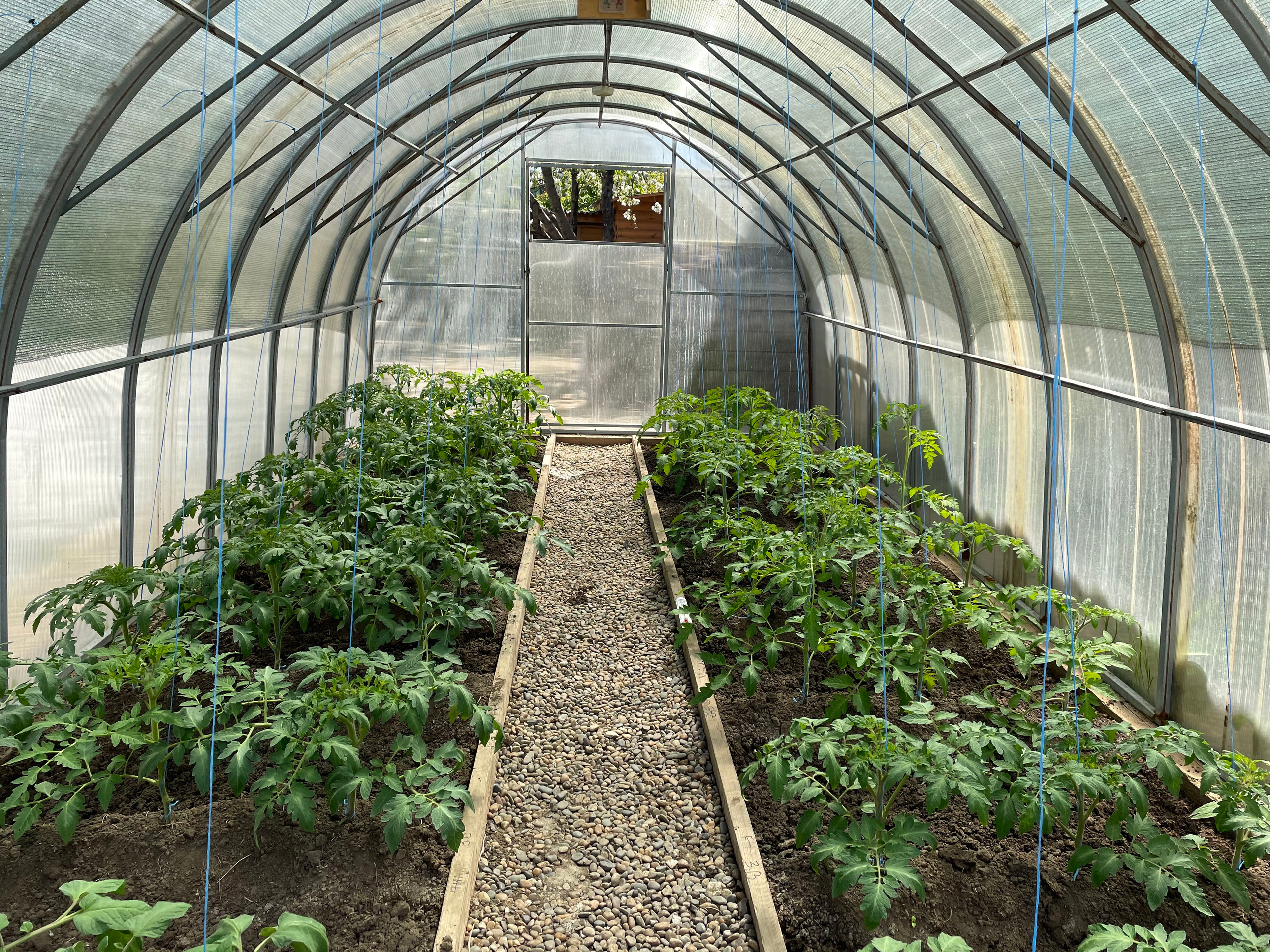 22 301 Деревенский домик в городе. ВИЗУАЛЬНЫЕ И ЗВУКОВЫЕ РЕШЕНИЯ ДЛЯ БИЗНЕСА И СЪЁМОК ТЕЛЕТЕЛА