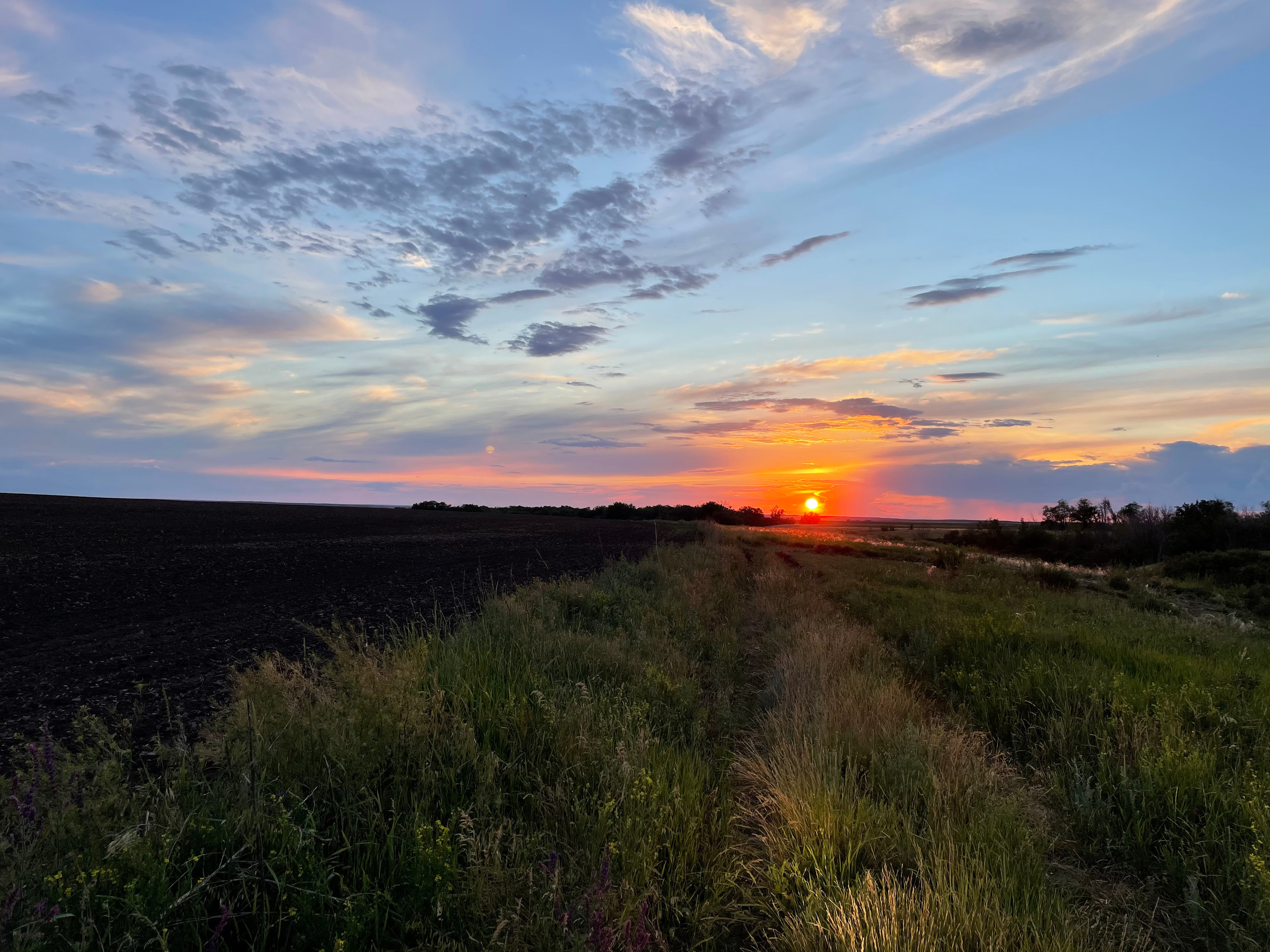 10 507 Степь. ВИЗУАЛЬНЫЕ И ЗВУКОВЫЕ РЕШЕНИЯ ДЛЯ БИЗНЕСА И СЪЁМОК ТЕЛЕТЕЛА