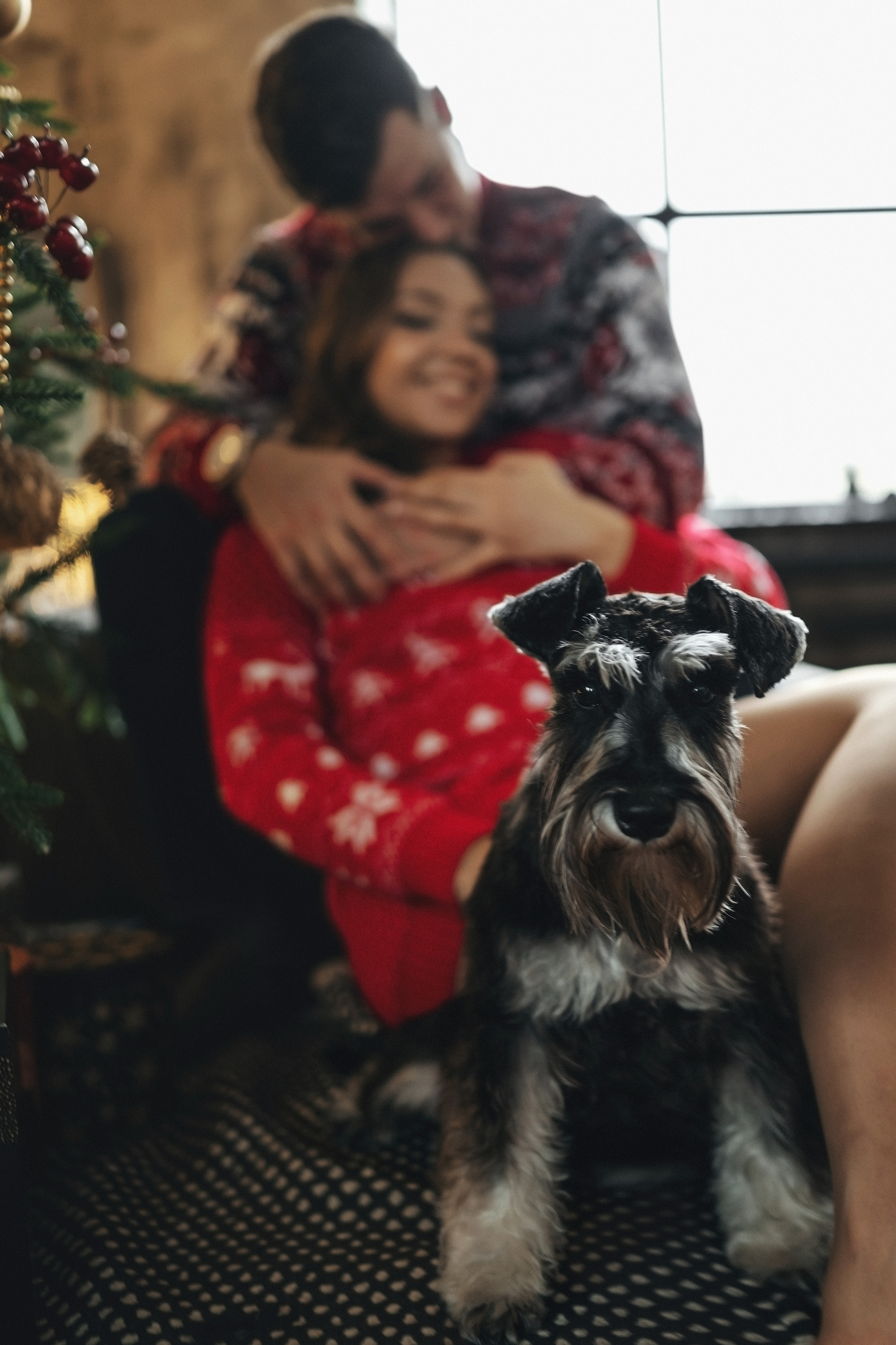 Новогоднее настроение. Свадебный и семейный фотограф и видеограф, Крым, Москва, Санкт -Петербург