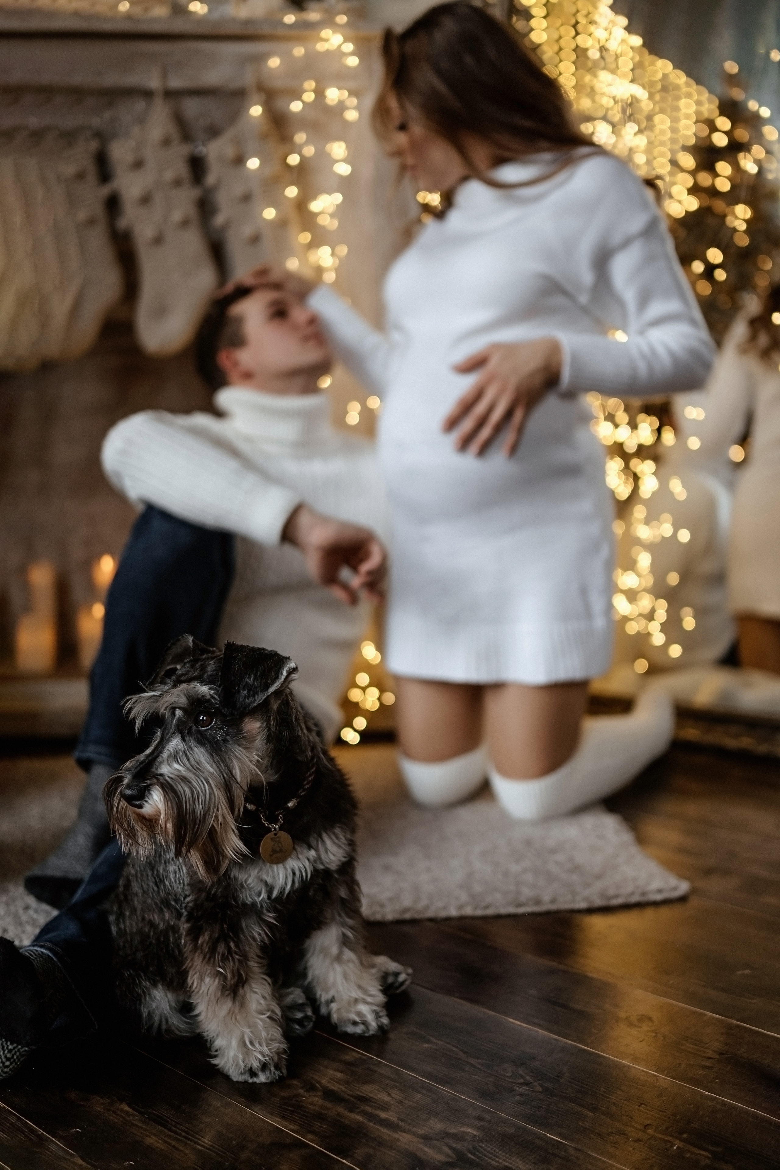 Новогоднее настроение. Свадебный и семейный фотограф и видеограф, Крым, Москва, Санкт -Петербург