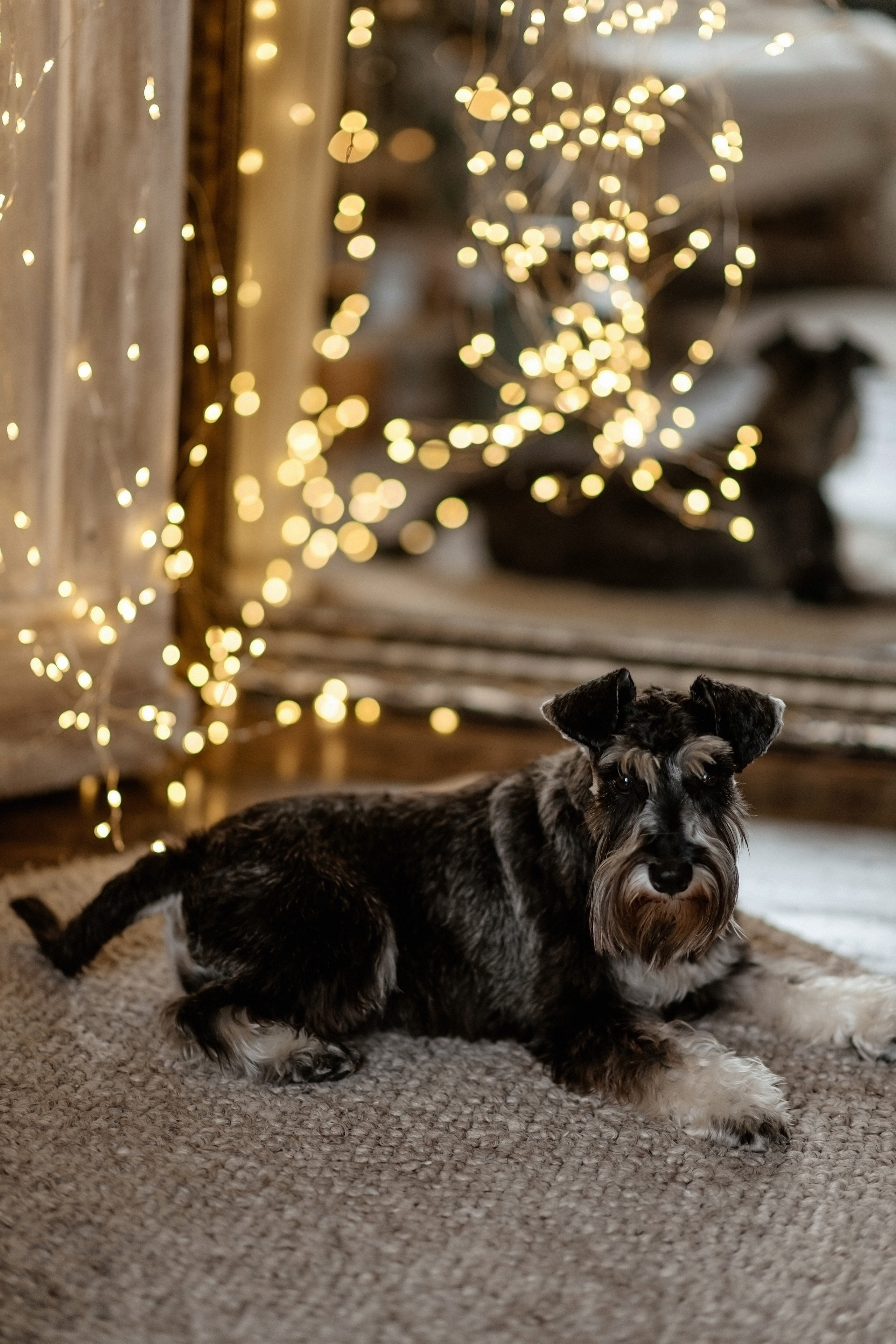 Новогоднее настроение. Свадебный и семейный фотограф и видеограф, Крым, Москва, Санкт -Петербург