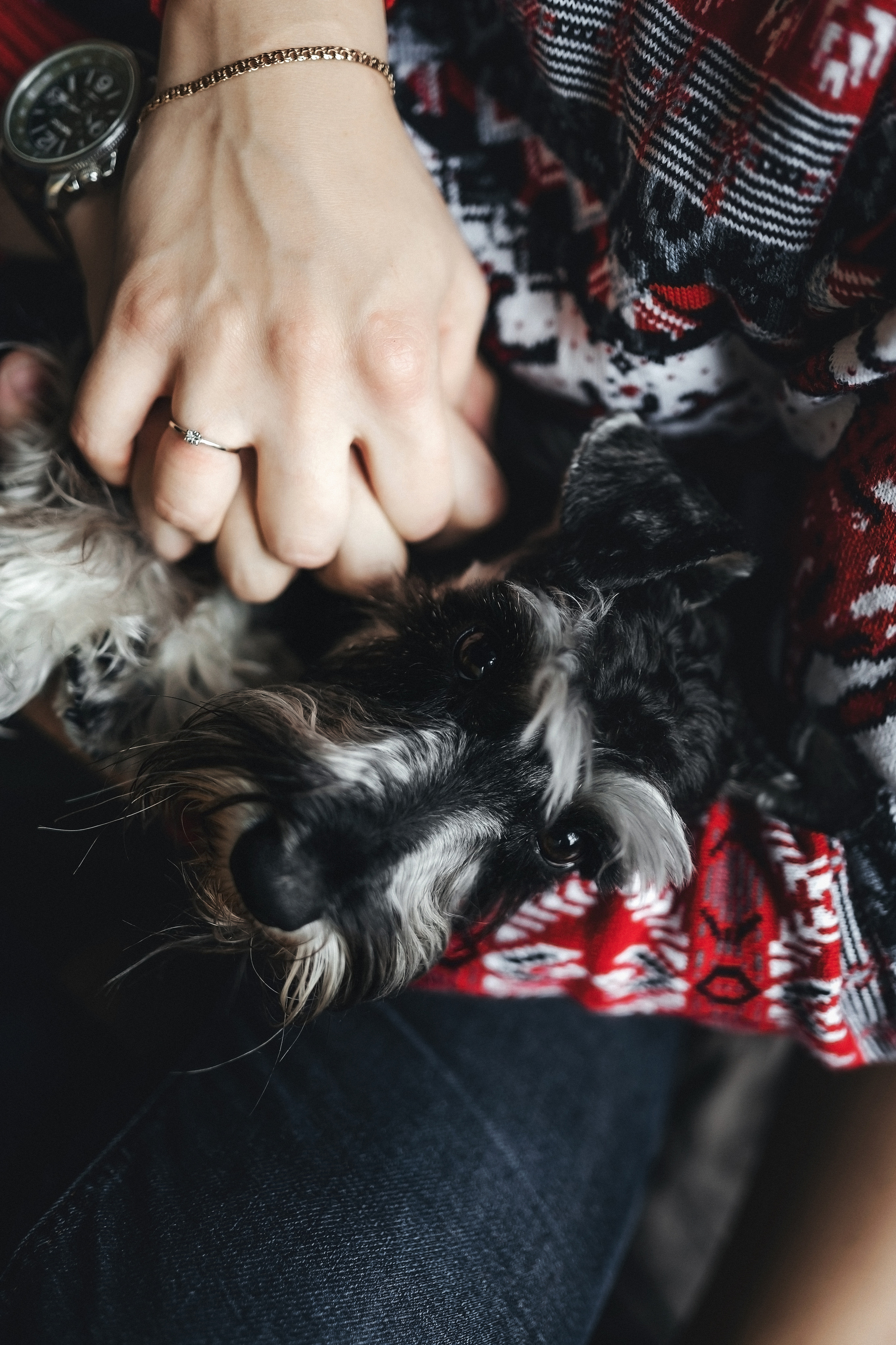 Новогоднее настроение. Свадебный и семейный фотограф и видеограф, Крым, Москва, Санкт -Петербург