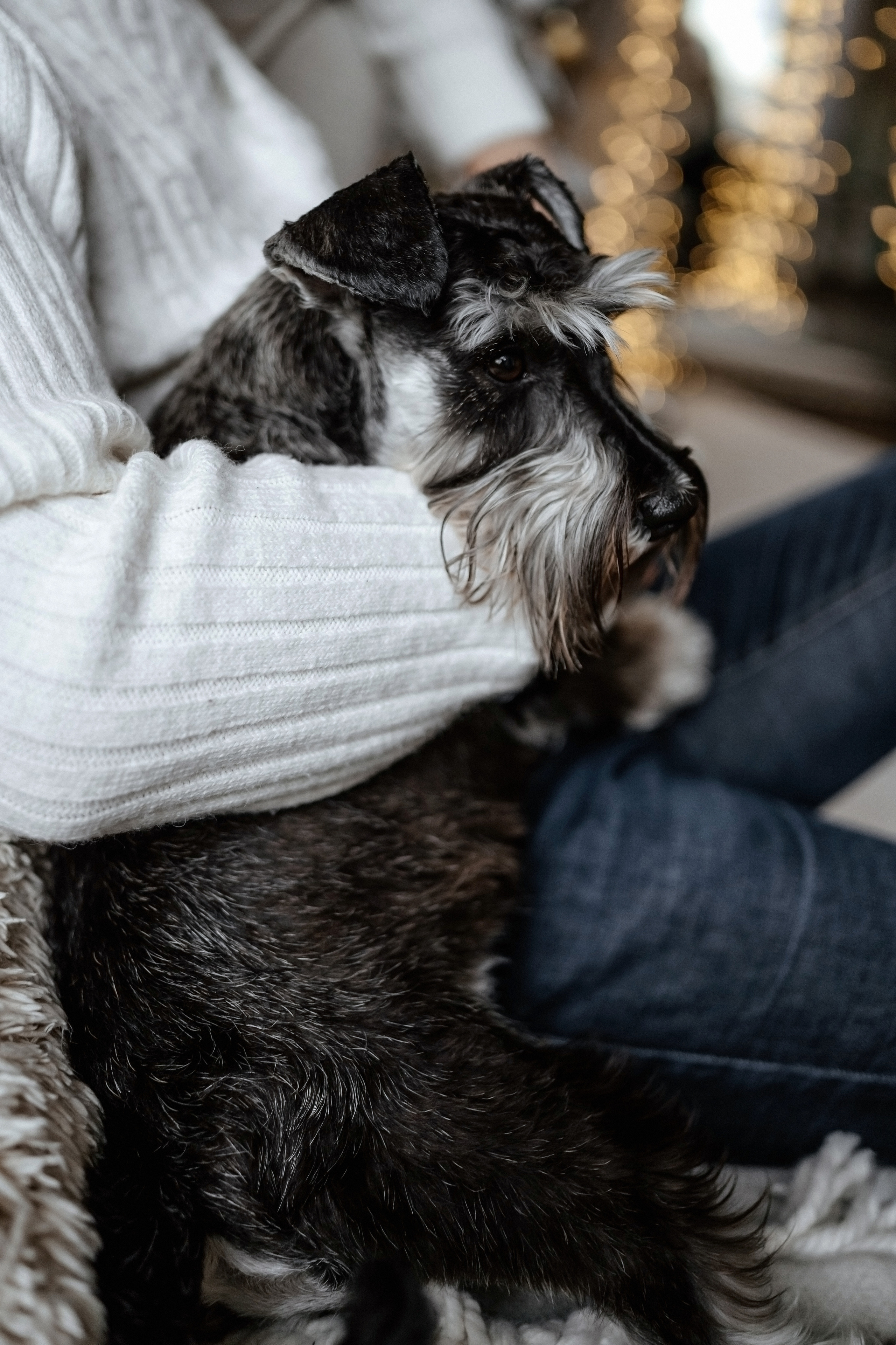 Новогоднее настроение. Свадебный и семейный фотограф и видеограф, Крым, Москва, Санкт -Петербург