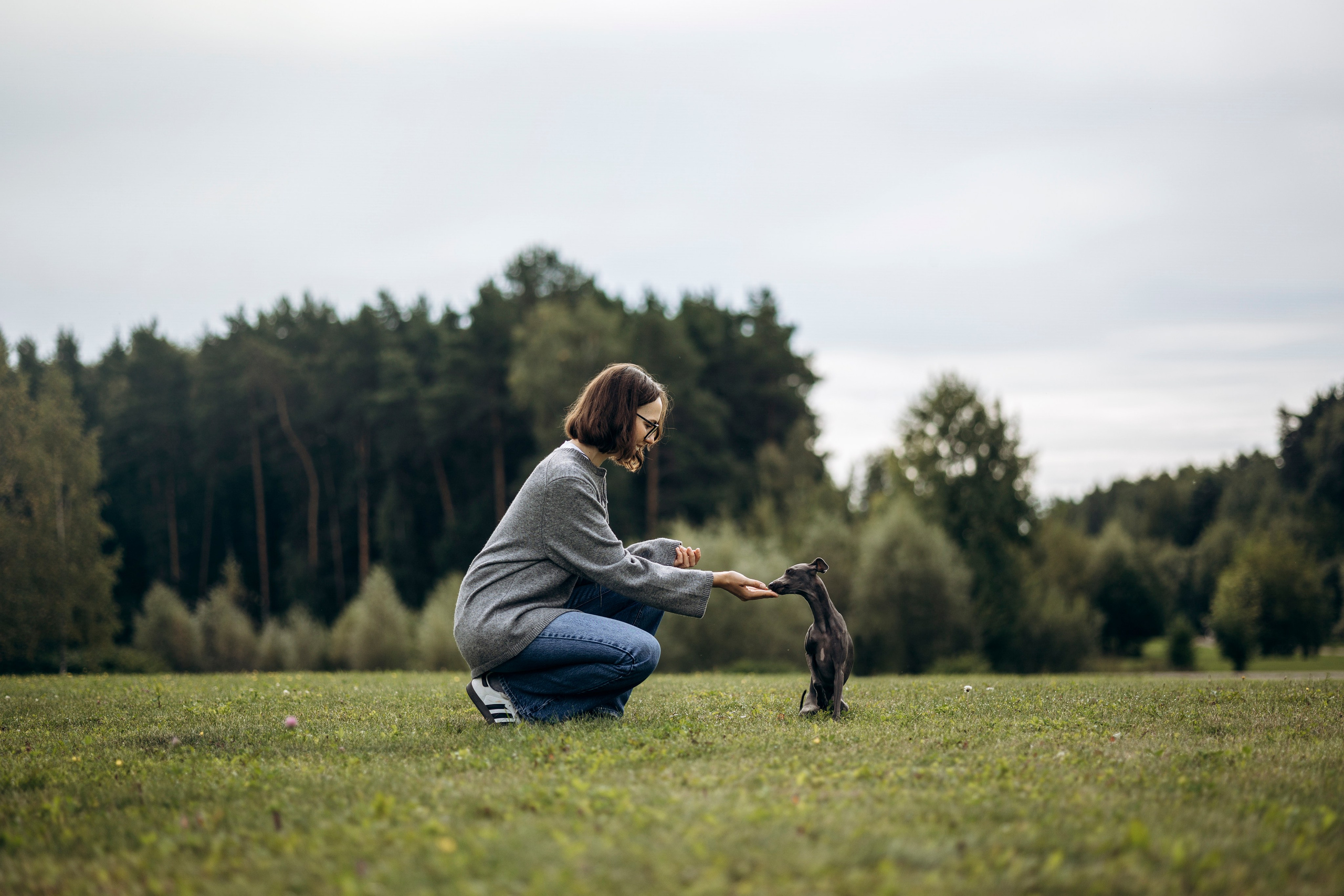 Лучик и ее семья. Фотограф — Анималист | Санкт-Петербург