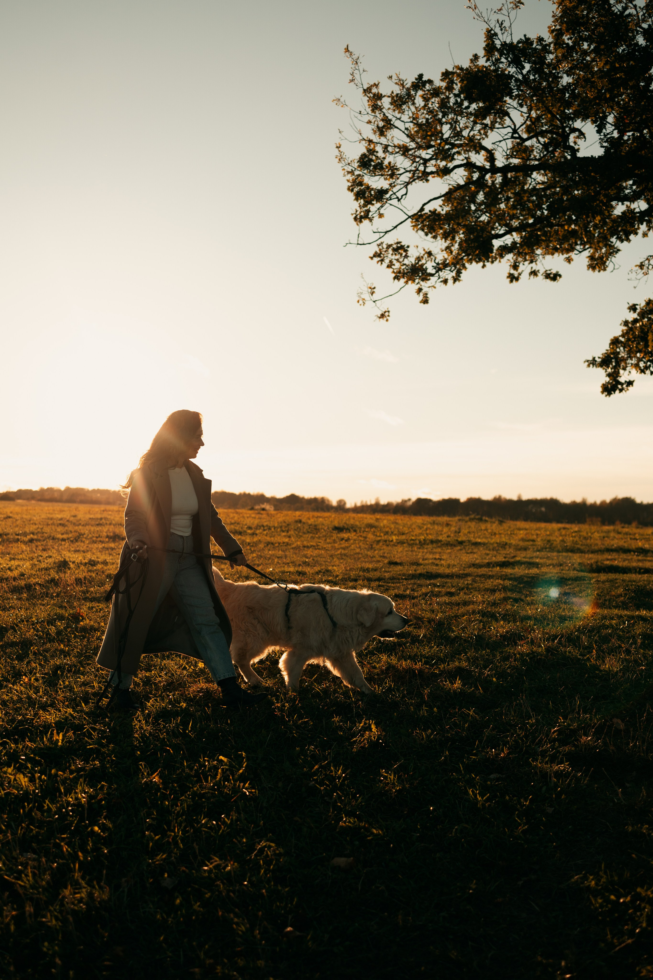 Лера и Скай. Фотограф — Анималист | Санкт-Петербург