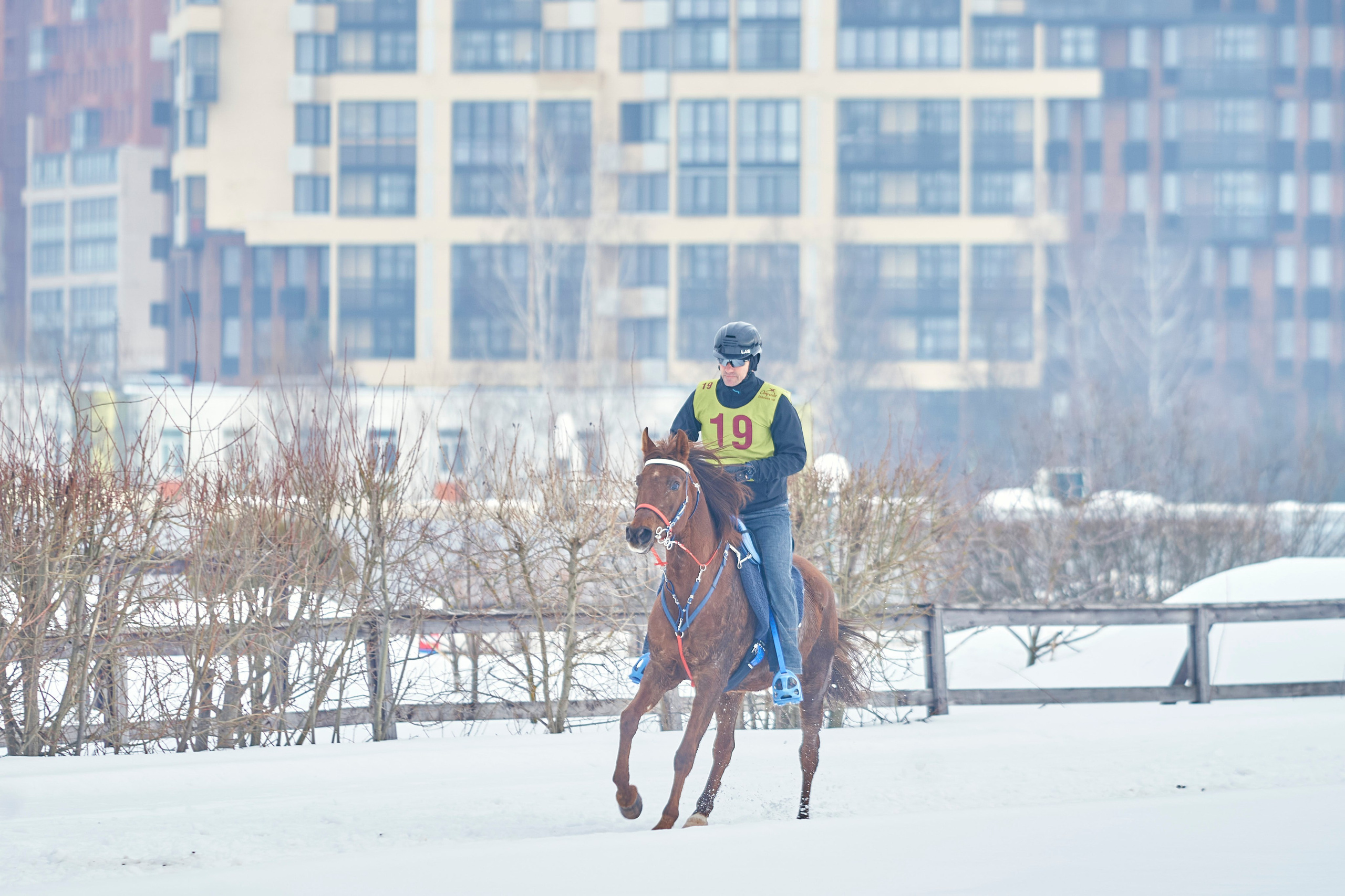 HORSE RACING. Фотограф Наталья Леонова