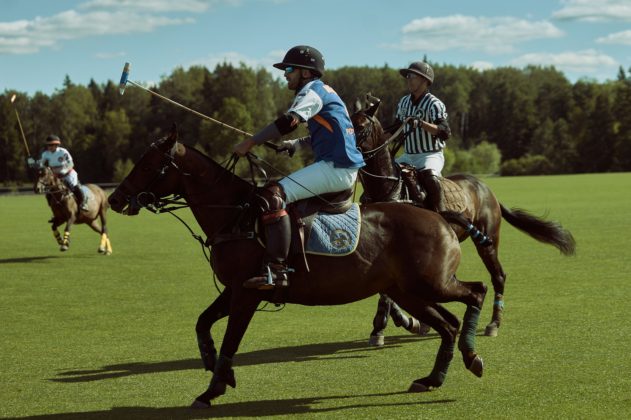HORSE POLO. Фотограф Наталья Леонова