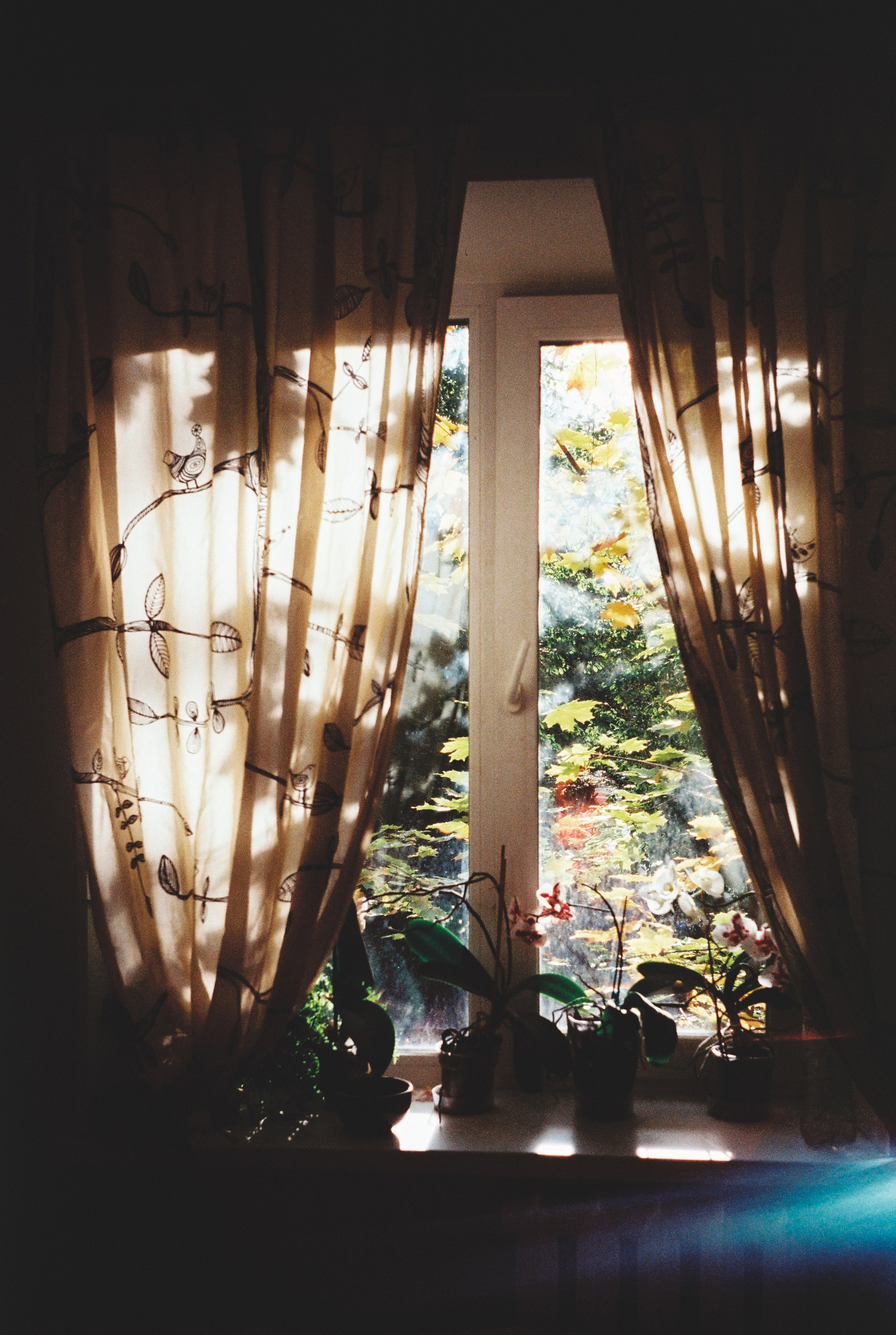 Фотографии цветные. Свадебный и семейный пленочный фотограф в Петербурге Истомина Ирина