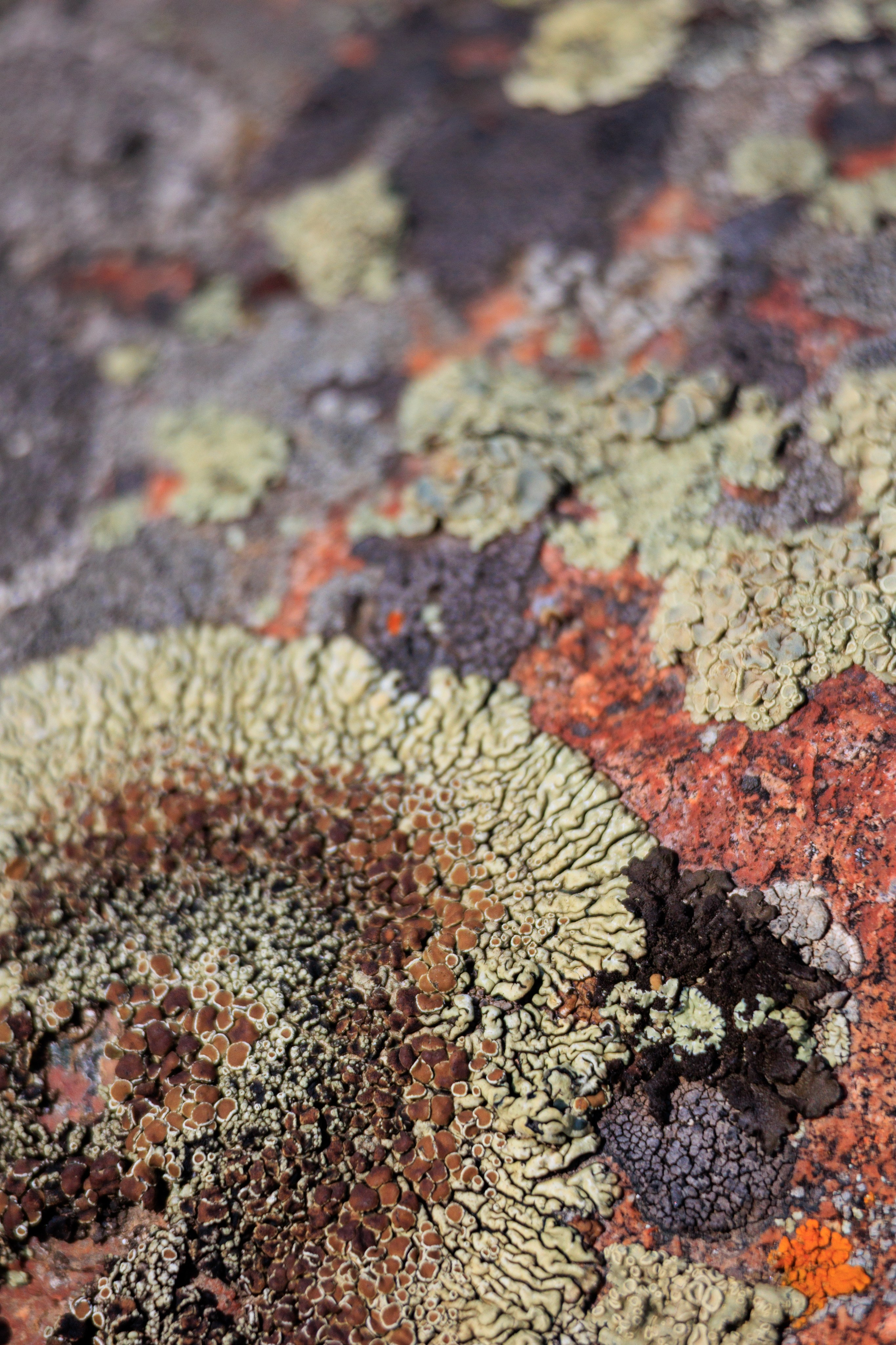 Плато Ассы, озеро Иссык и водопад: комфорт-маршрут, джипы, мини-группа. Экскурсии и туры по Алматы