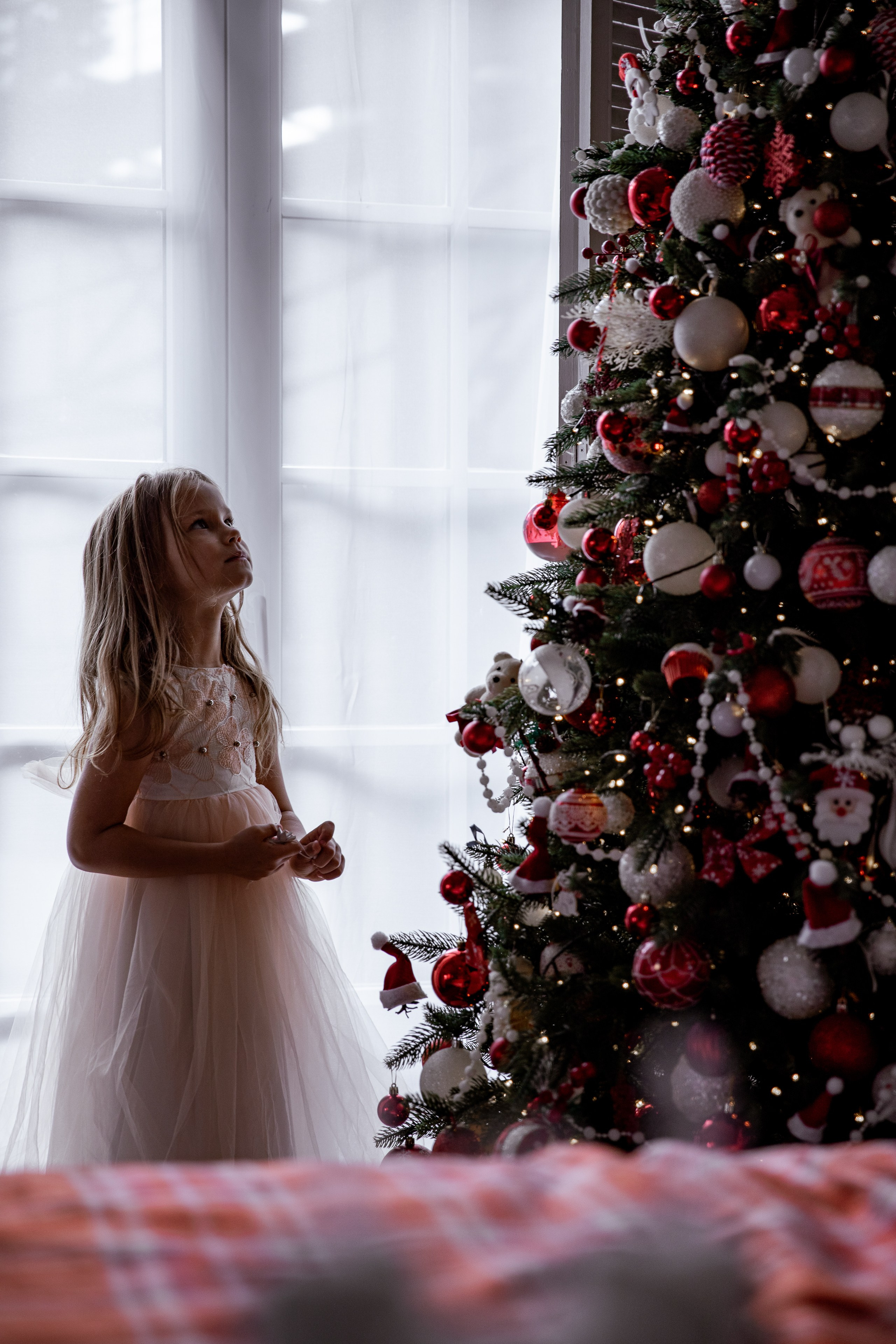 Предновогоднее баловство. Фотограф в Санкт-Петербурге Алена Сертакова