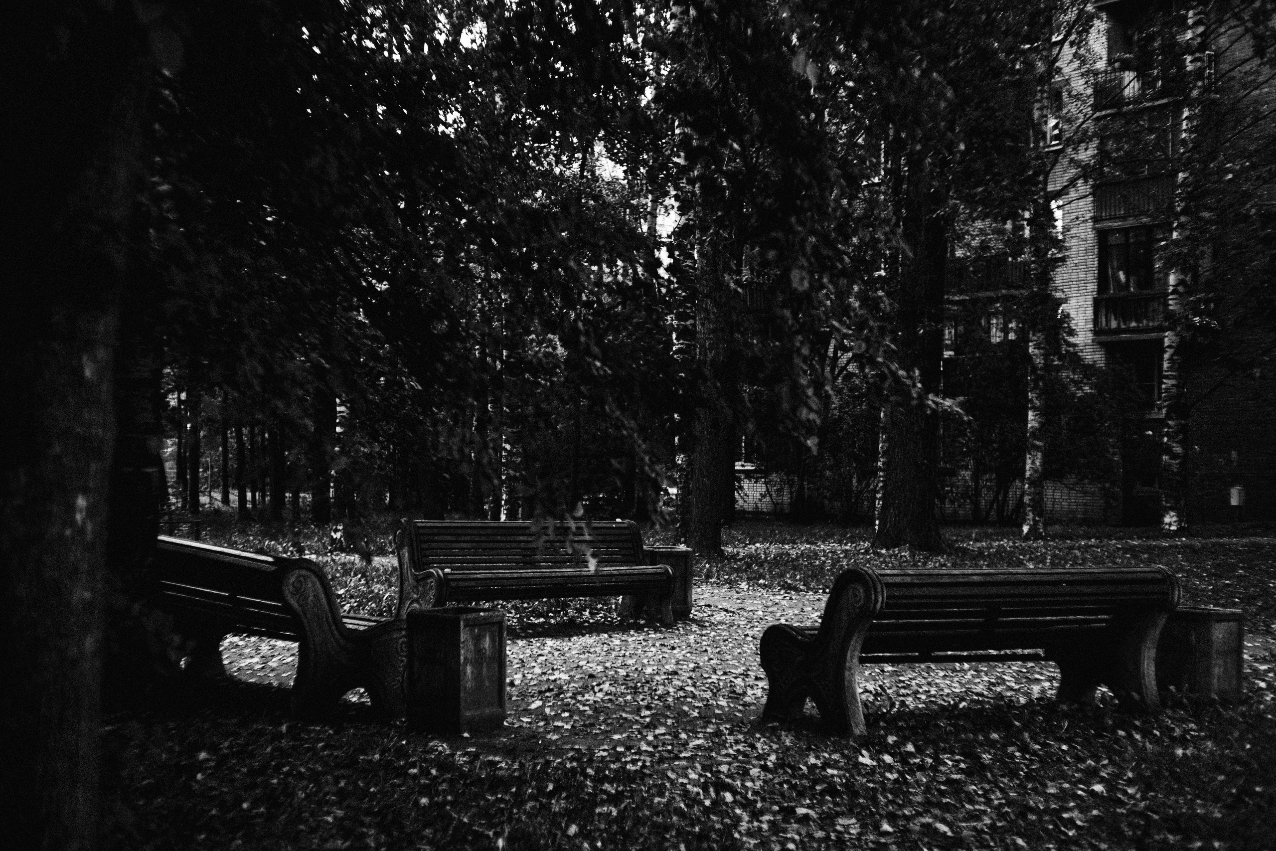 Стрит — фотография в Санкт-Петербурге