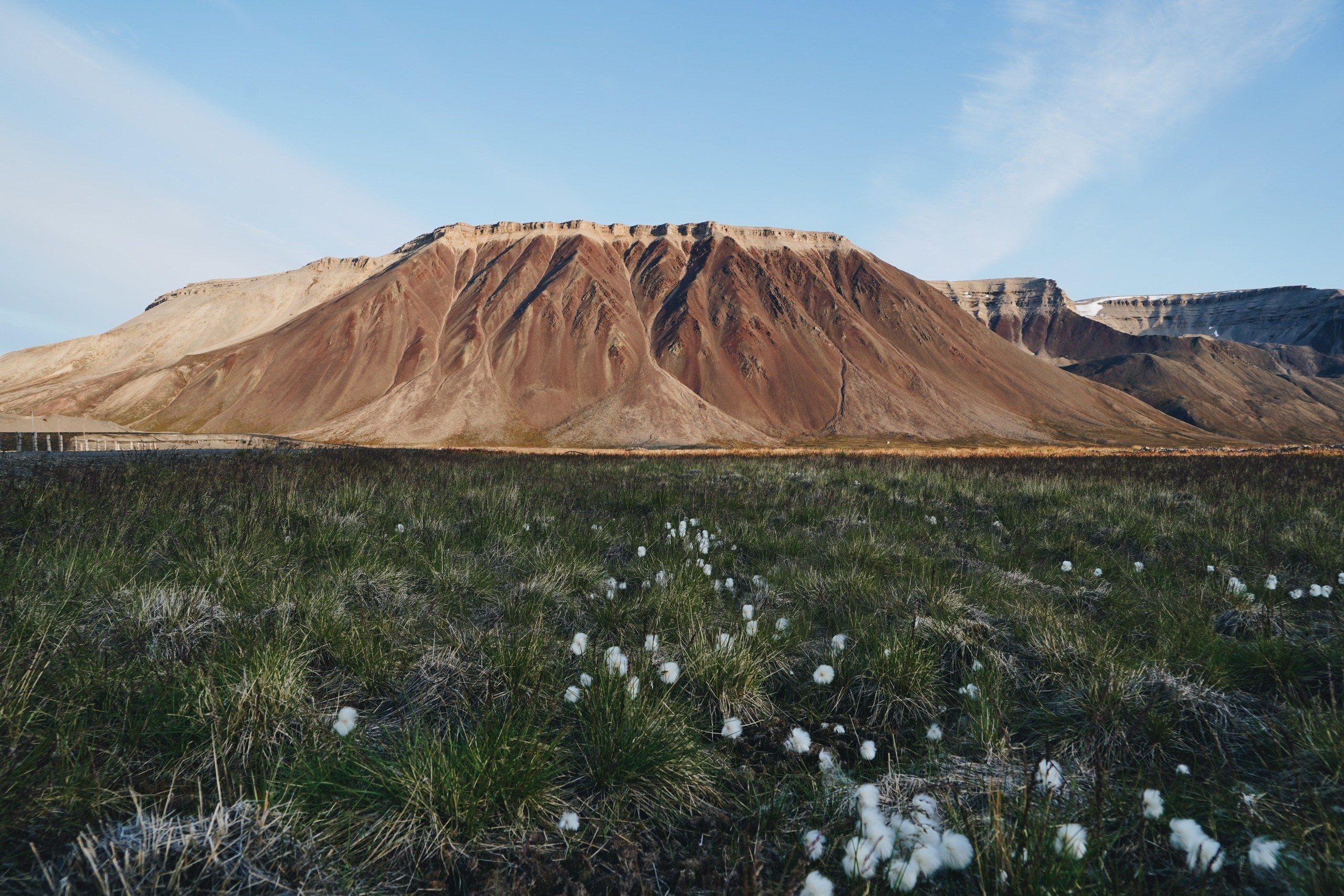 Экспедиция на Шпицберген (07.08.25 — 20.08.25). Фотограф Константин Шамин