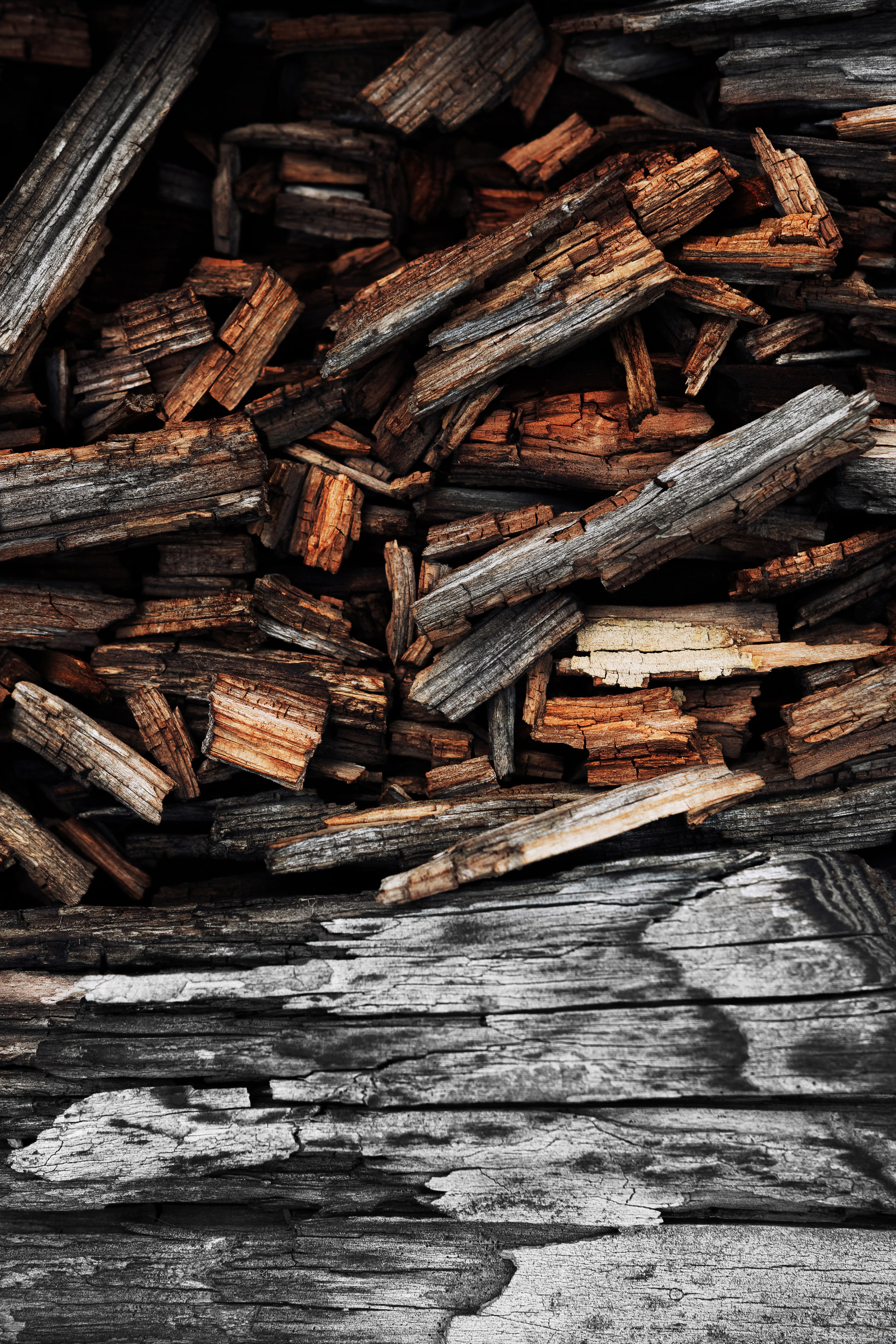 Жизнь. Фотограф Алматы | Весь мир — Никита Колодин