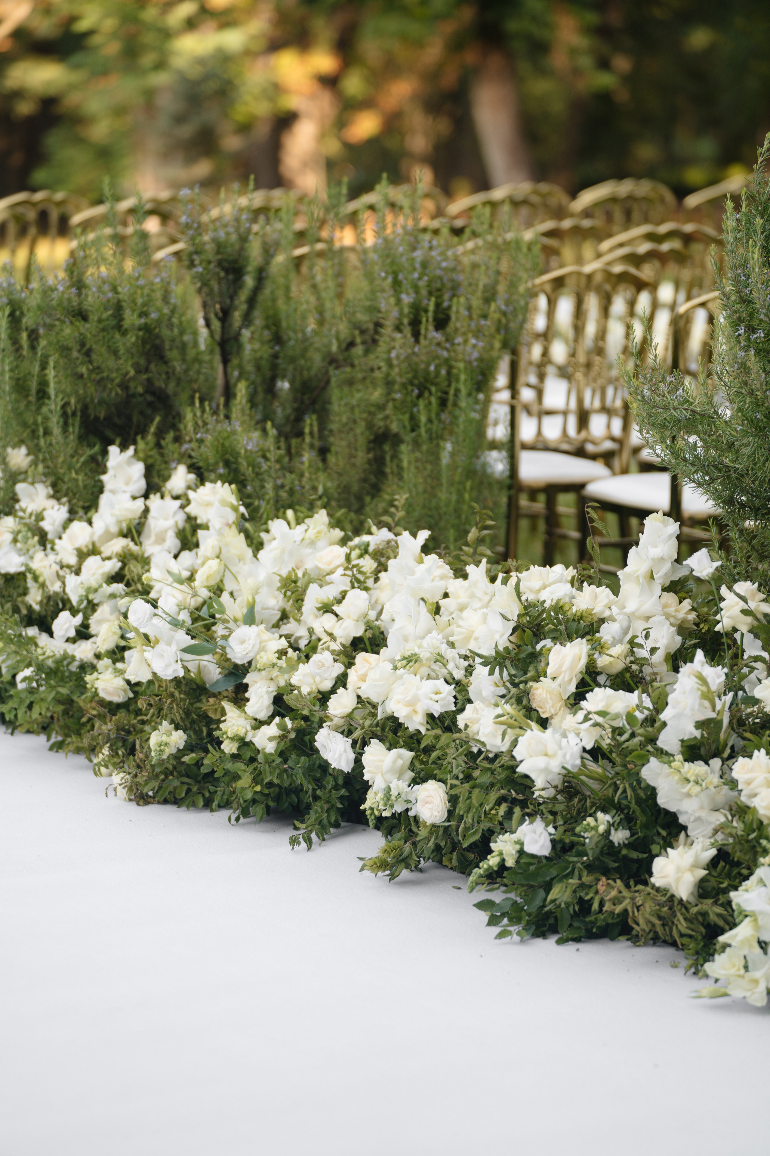 Tsinandali Wedding Highlights. Valeria Coconova Photographer Italy Como Milan