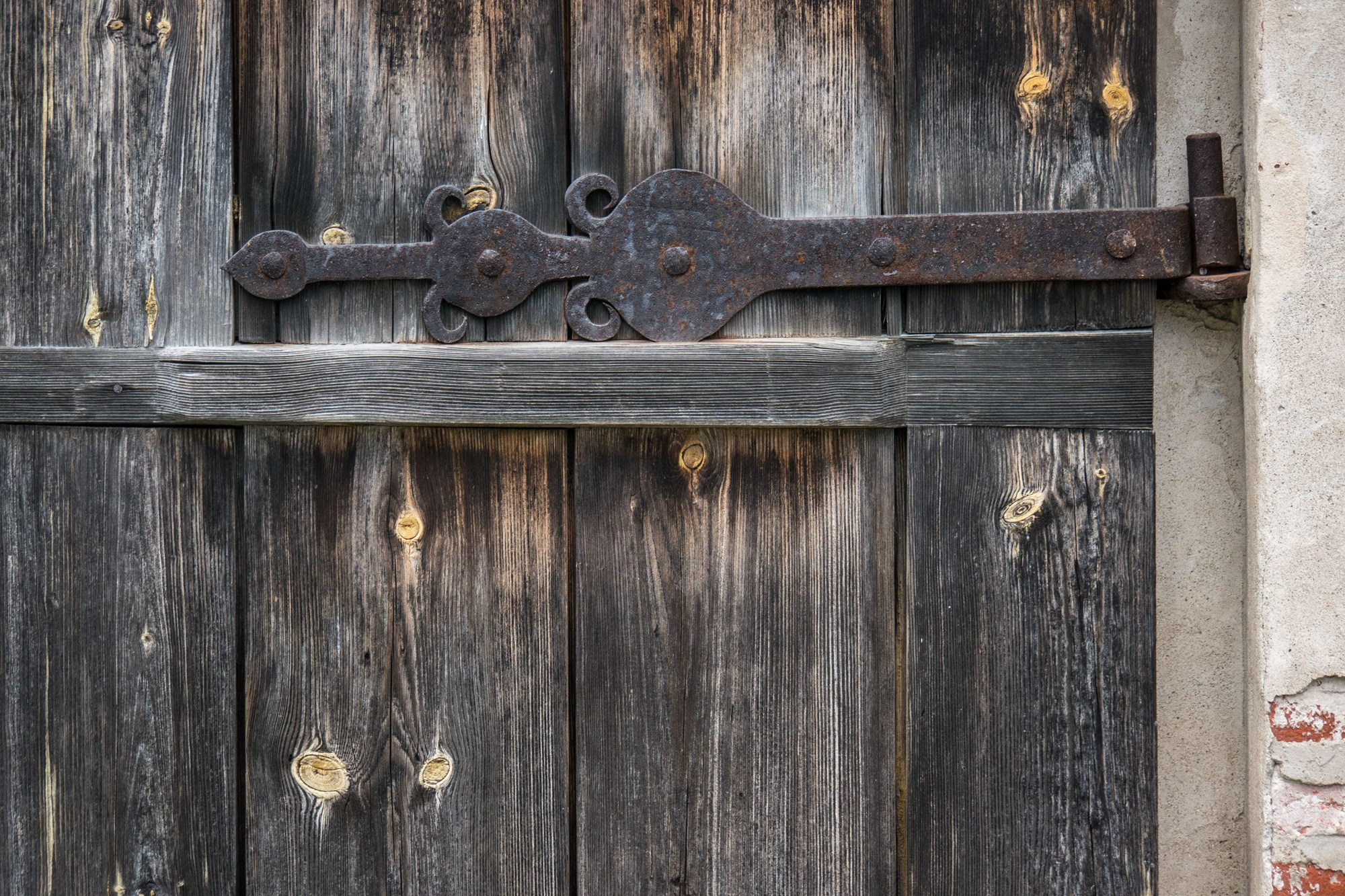 Новгород. Фотограф Алексей Скоробогатько