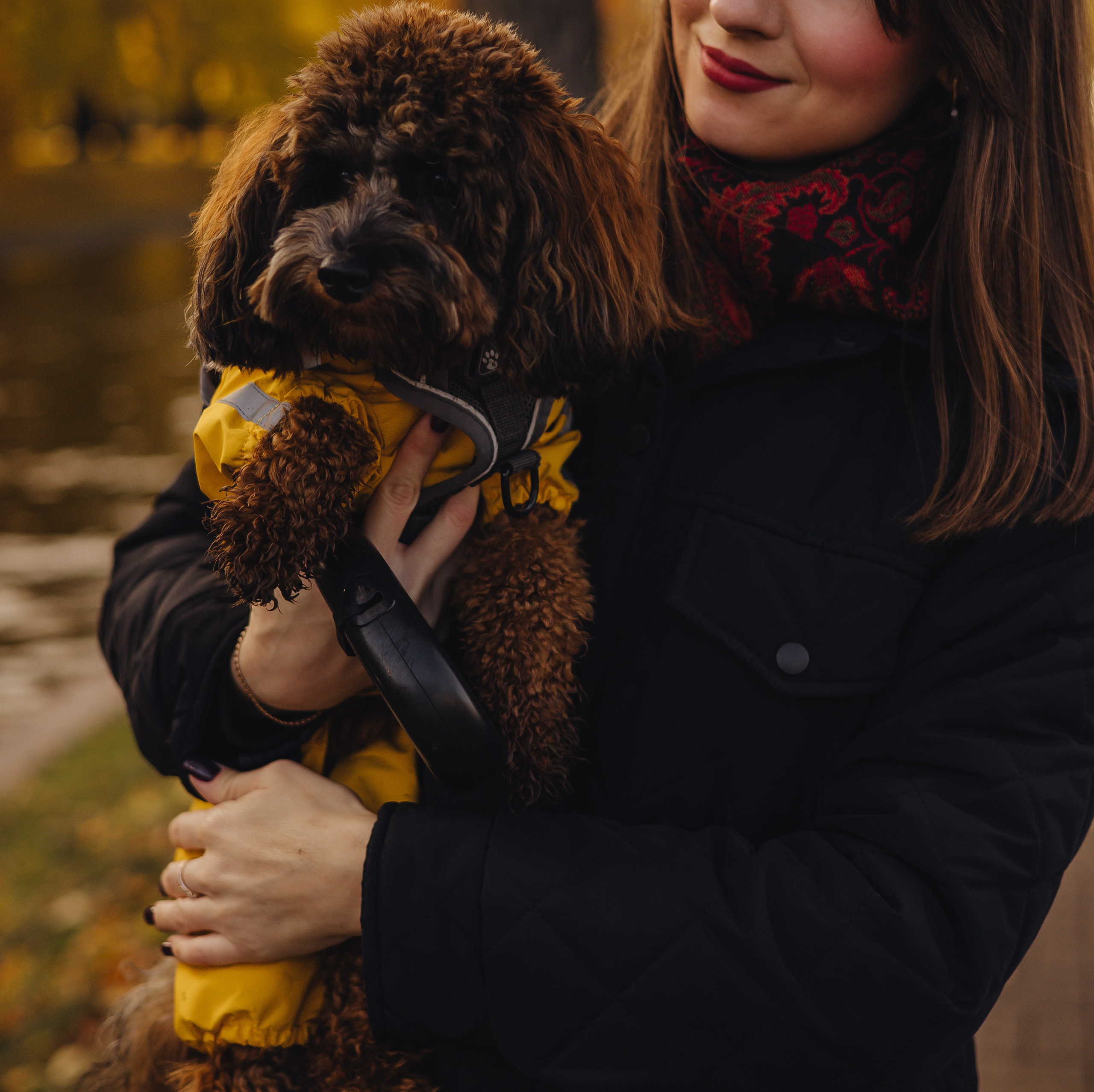 Летающая Мерси