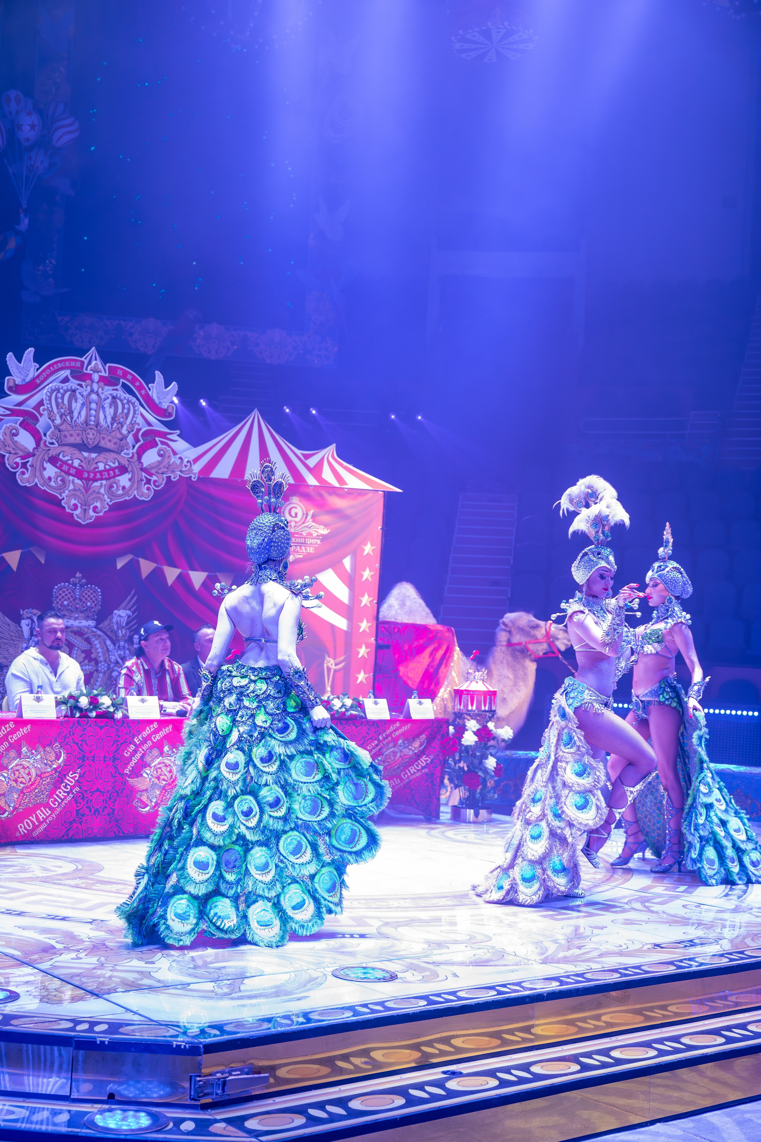 Цирк Гии Эрадзе. Наталья Слесаренко фотограф в Сочи