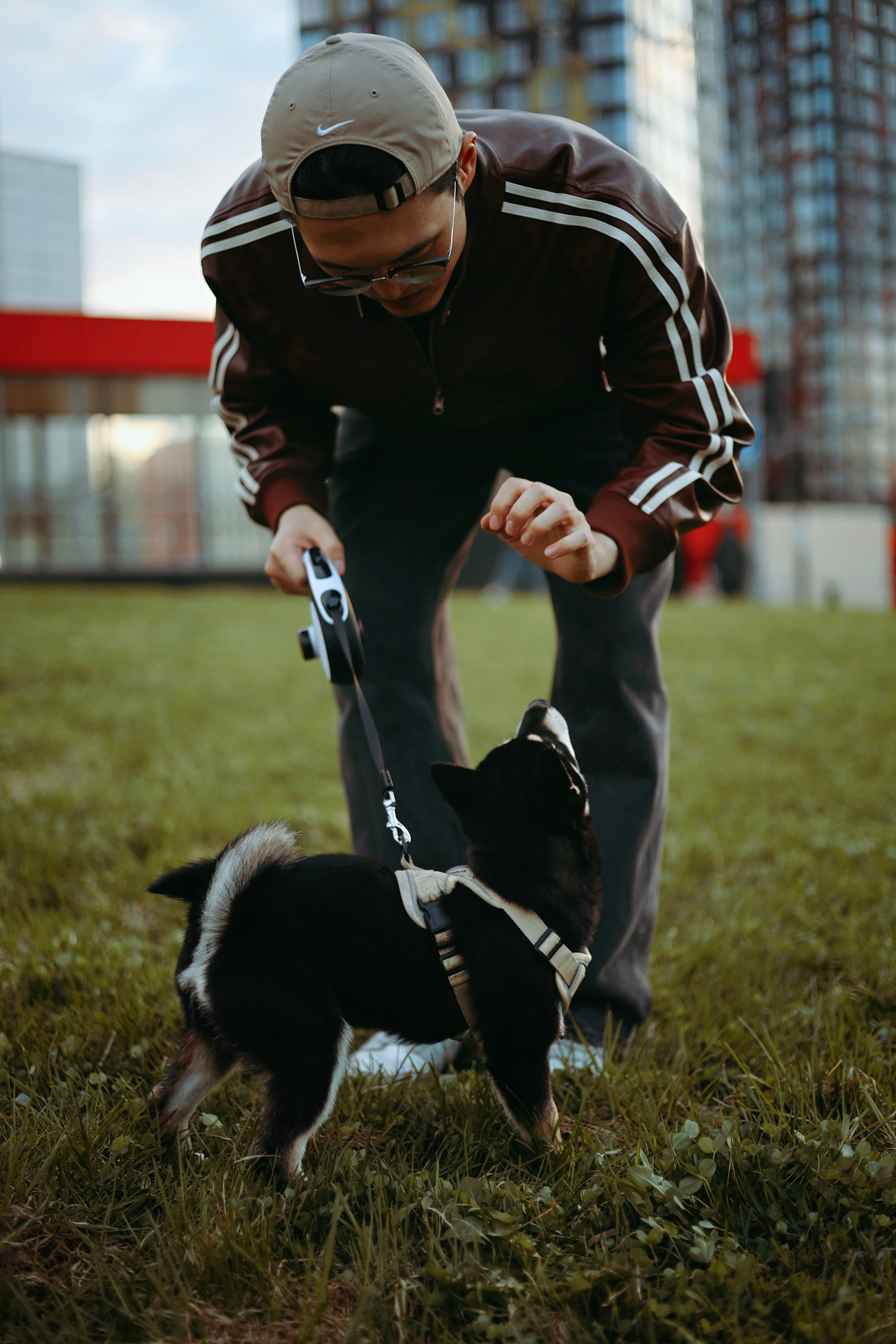 Puppy. Фотосессии в Москве и Санкт-Петербурге, а также по столицам стран Евро