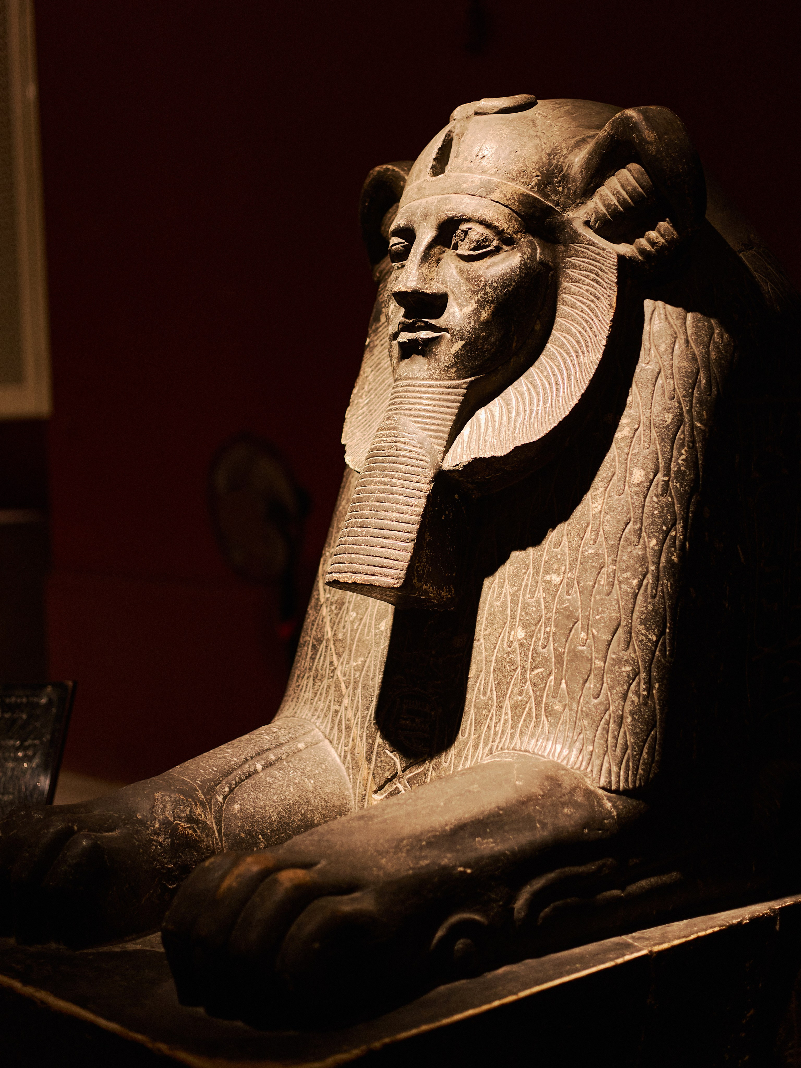 Другое 4. Jorgis — фотограф в Хургаде / обучение фотографии