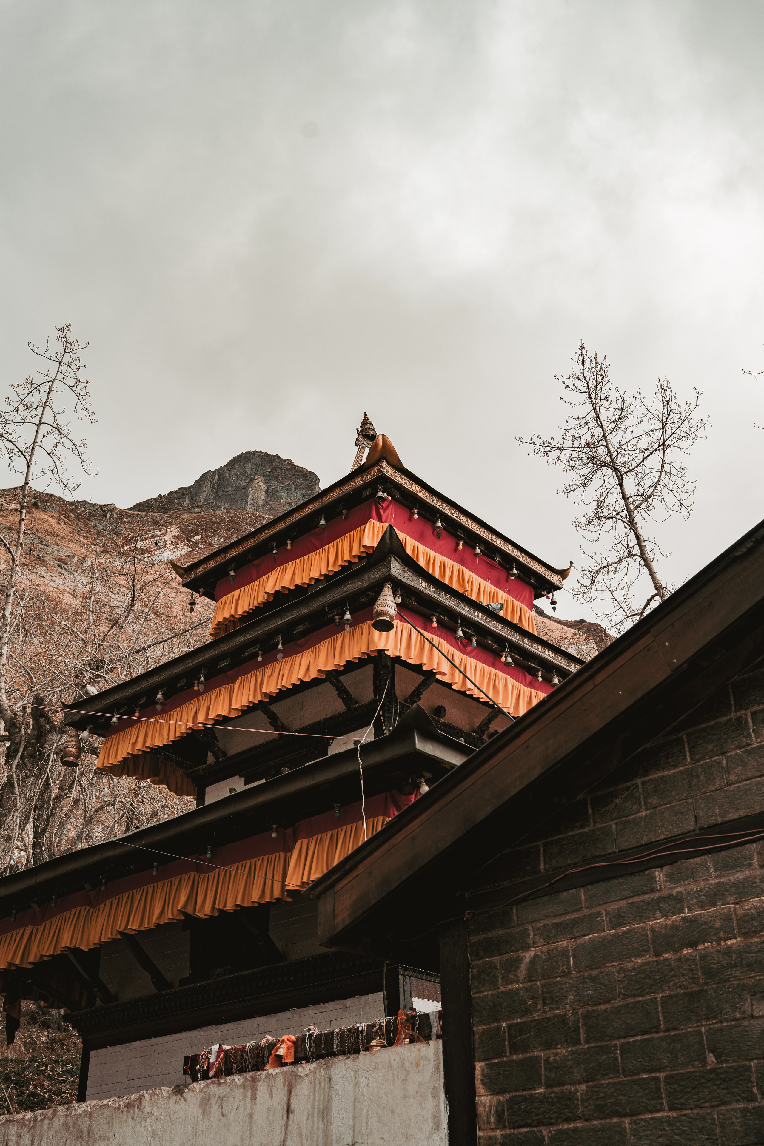 Королевство Мустанг. Dmitry Ippolitov