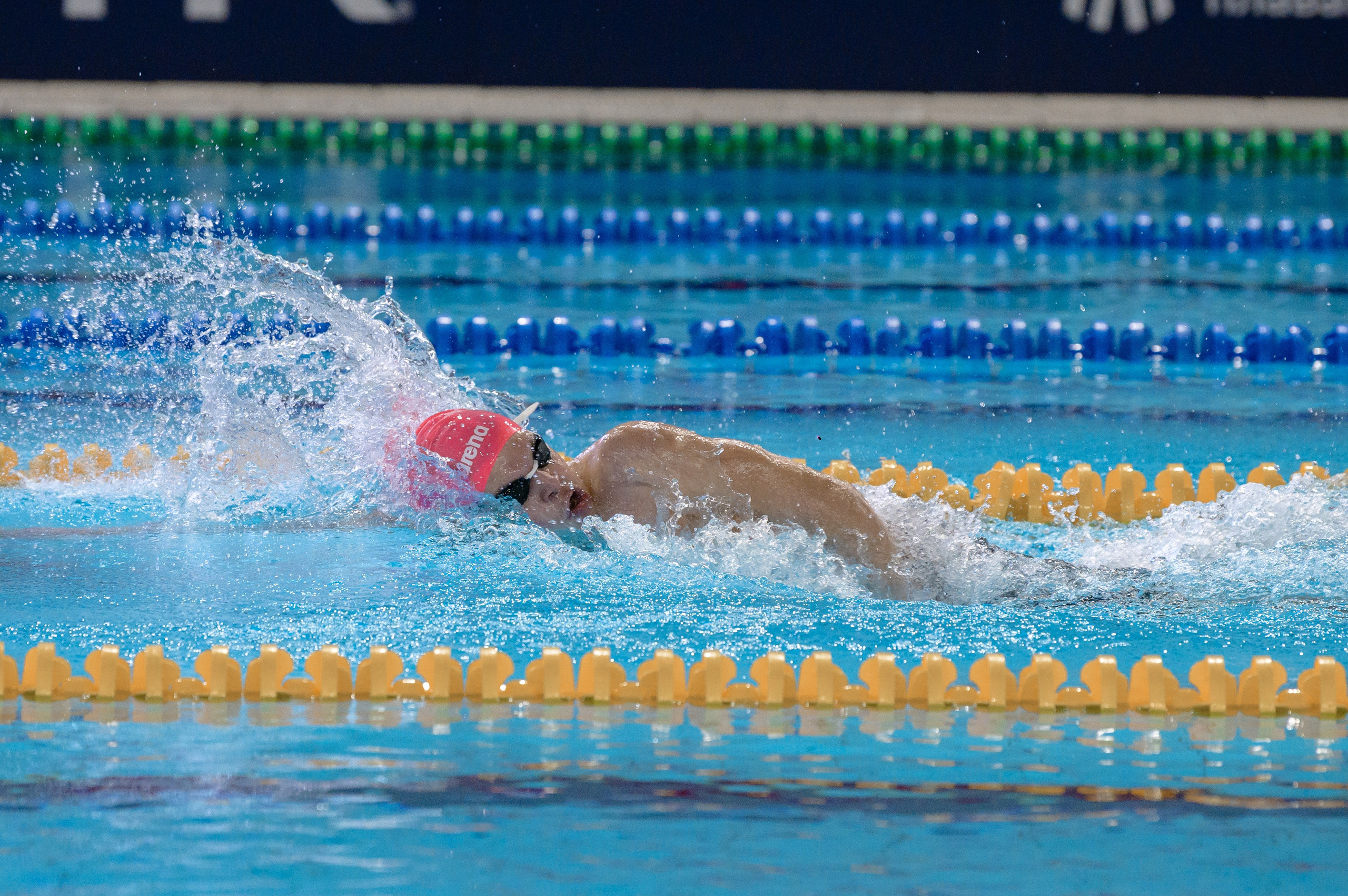 МОСКОВСКАЯ ЛИГА ПЛАВАНИЯ. РЕПОРТАЖНЫЙ И БИЗНЕС ФОТОГРАФ В МОСКВЕ, ЕГОР НИКОЛАЕВ