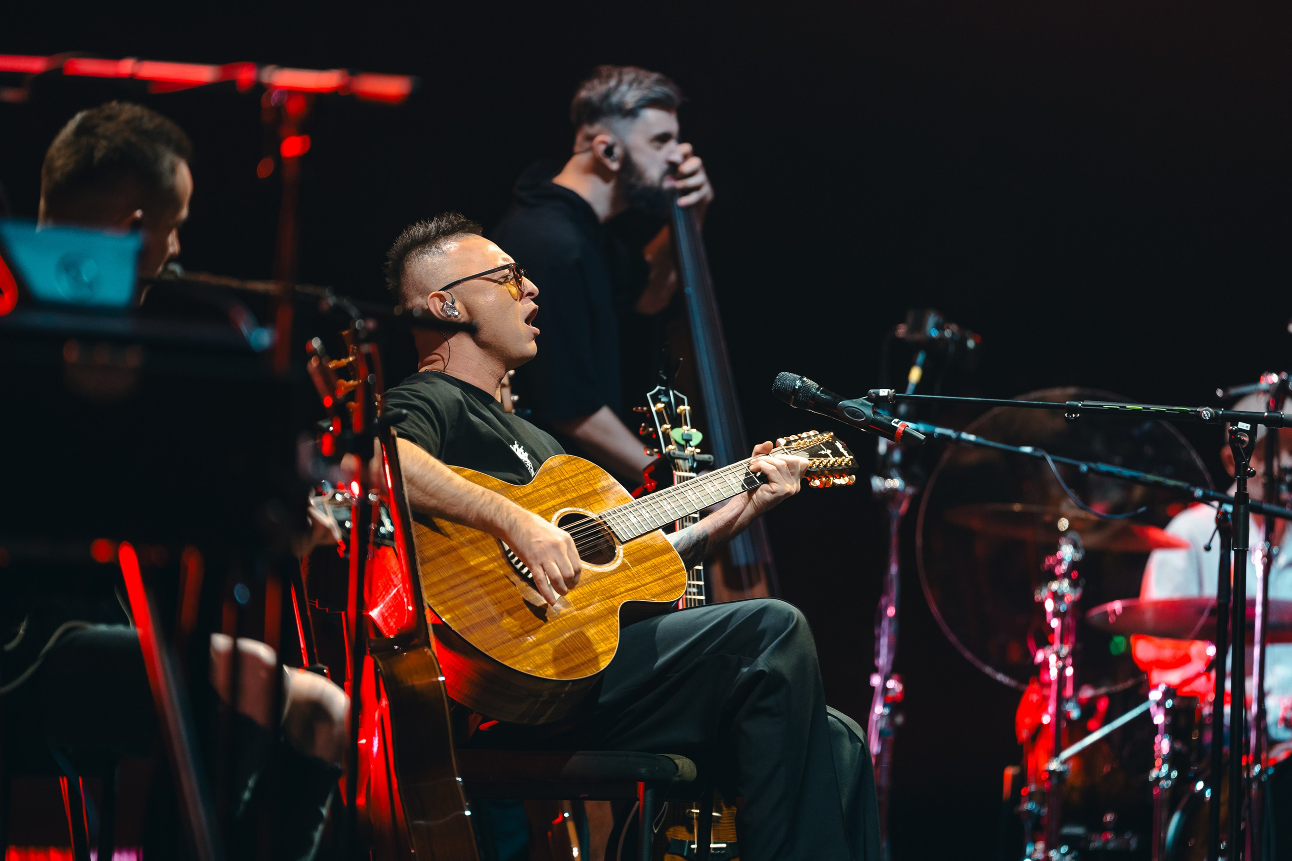 Звери. Магия музыки в кадре: Концертная Фотография