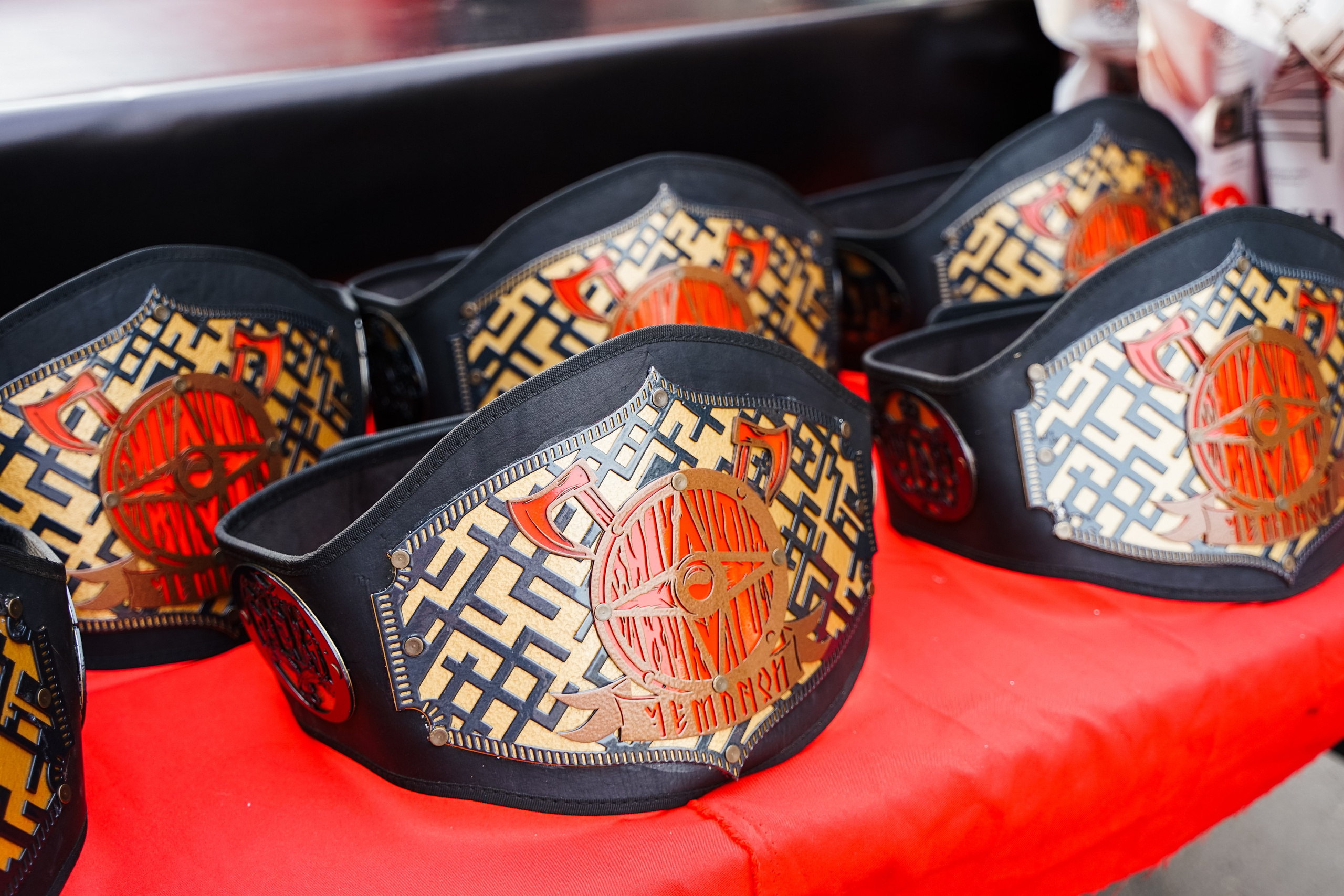 Вечер боев в ЦПКиО. Фотограф Надежда Погребняк | Рязань | Москва