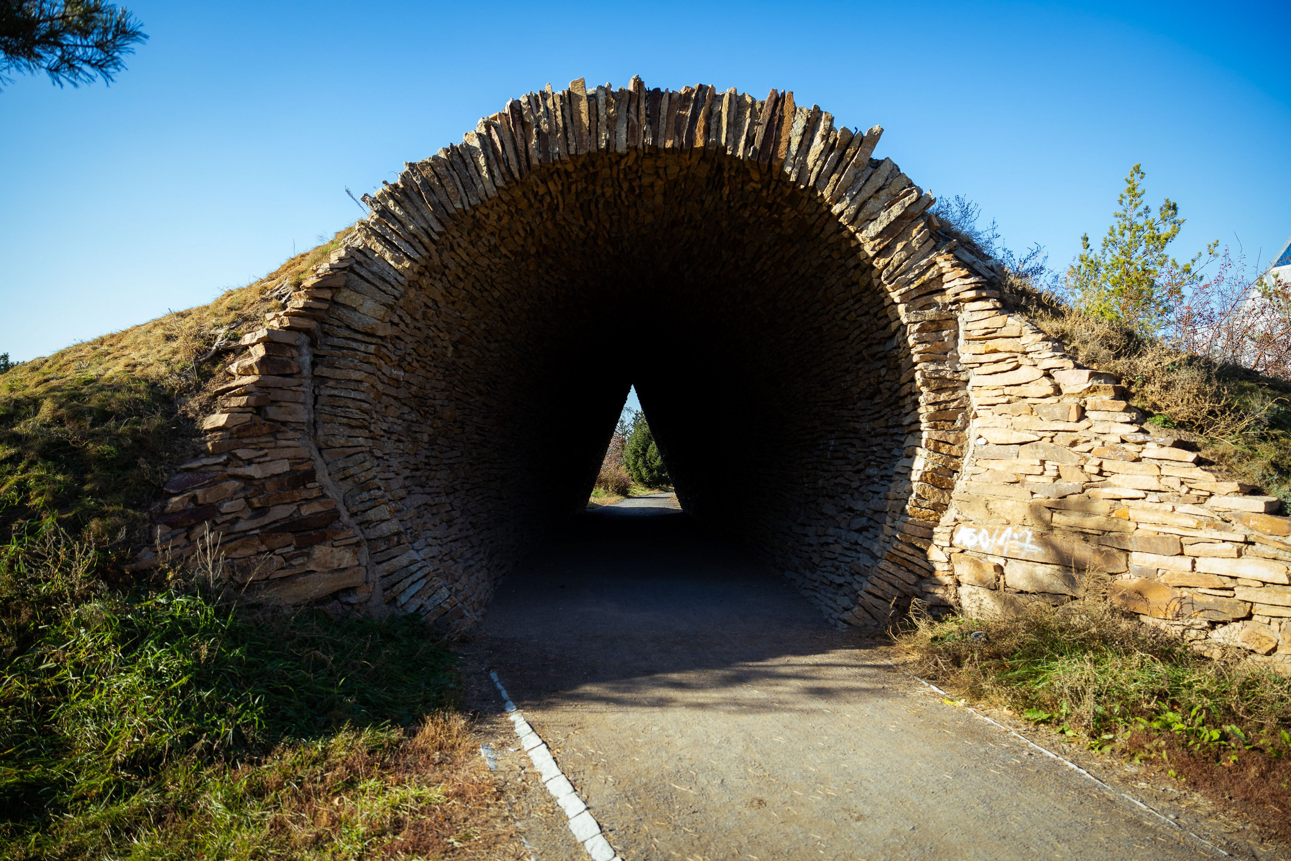 Казахстан (осень 2024). Фотограф Виноградов Константин