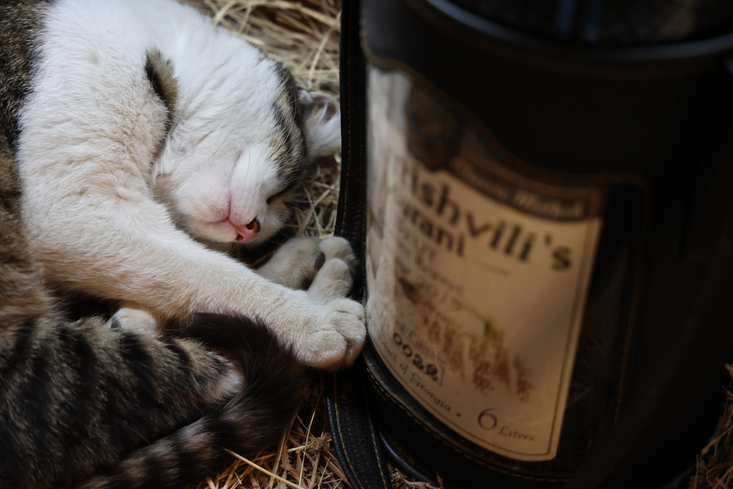 Любимое. Фотограф в Санкт-Петербурге Анна Сосновская