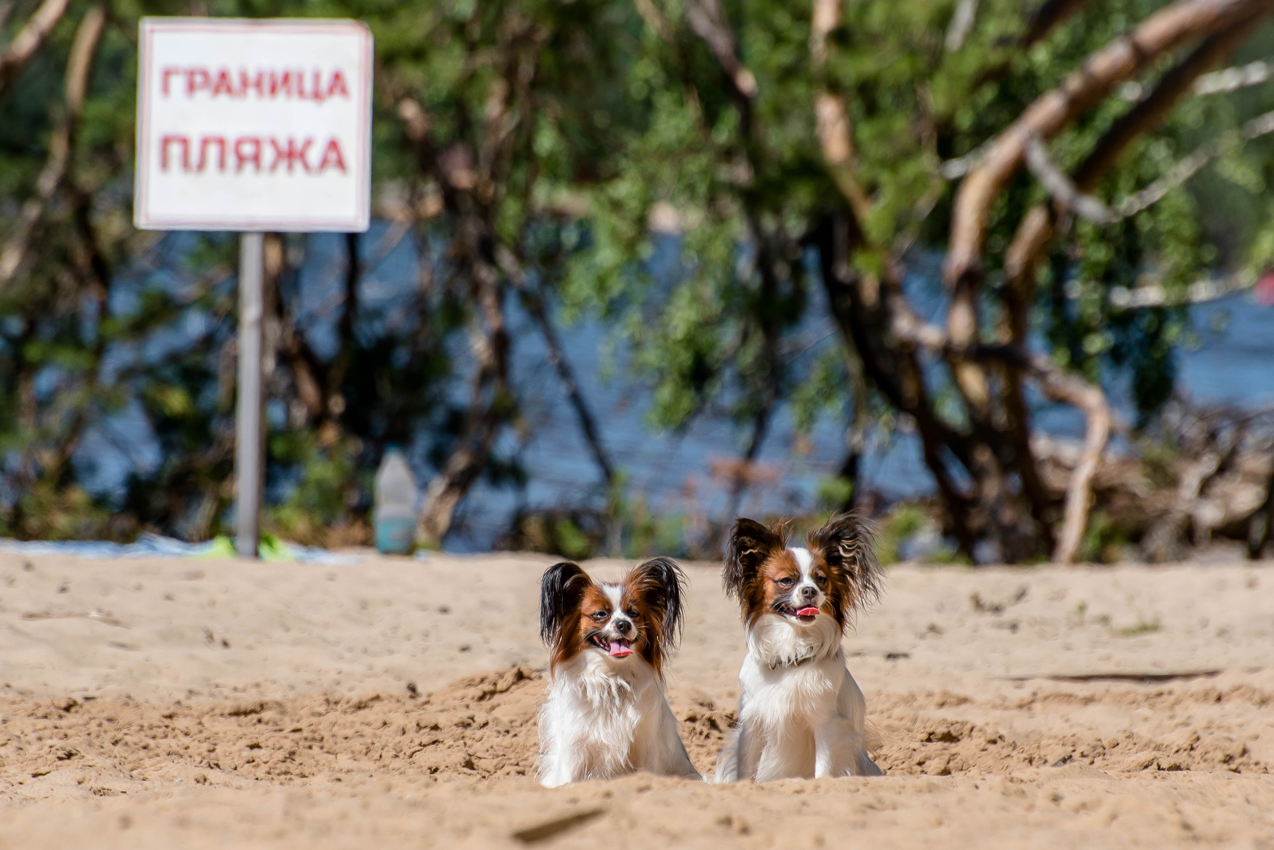 Семейная фотосессия. Фотограф Макс Огурцов в Нижнем Новгороде