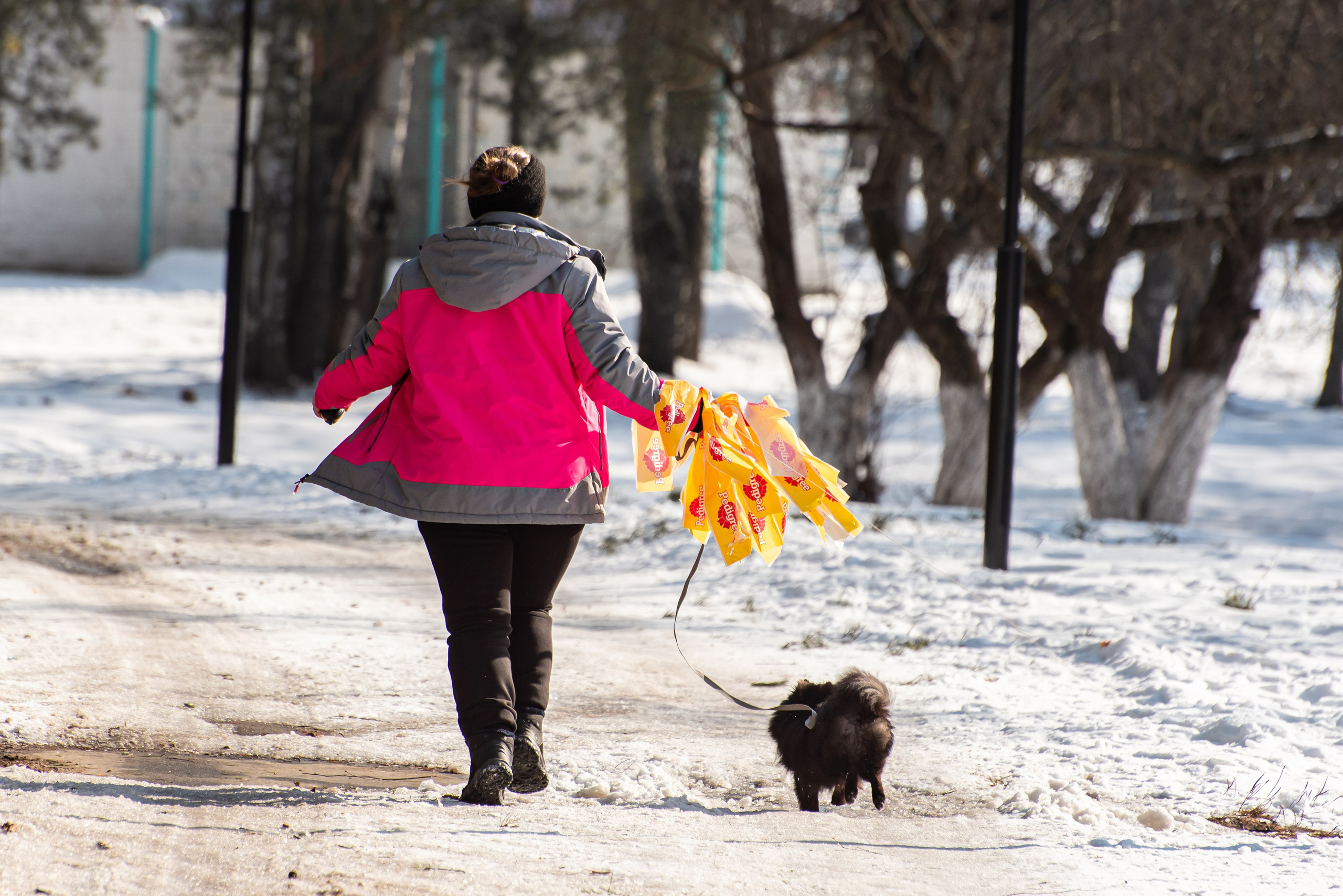 Фотосъёмка с собаками в Кинологическом лагере. Фотограф Макс Огурцов в Нижнем Новгороде