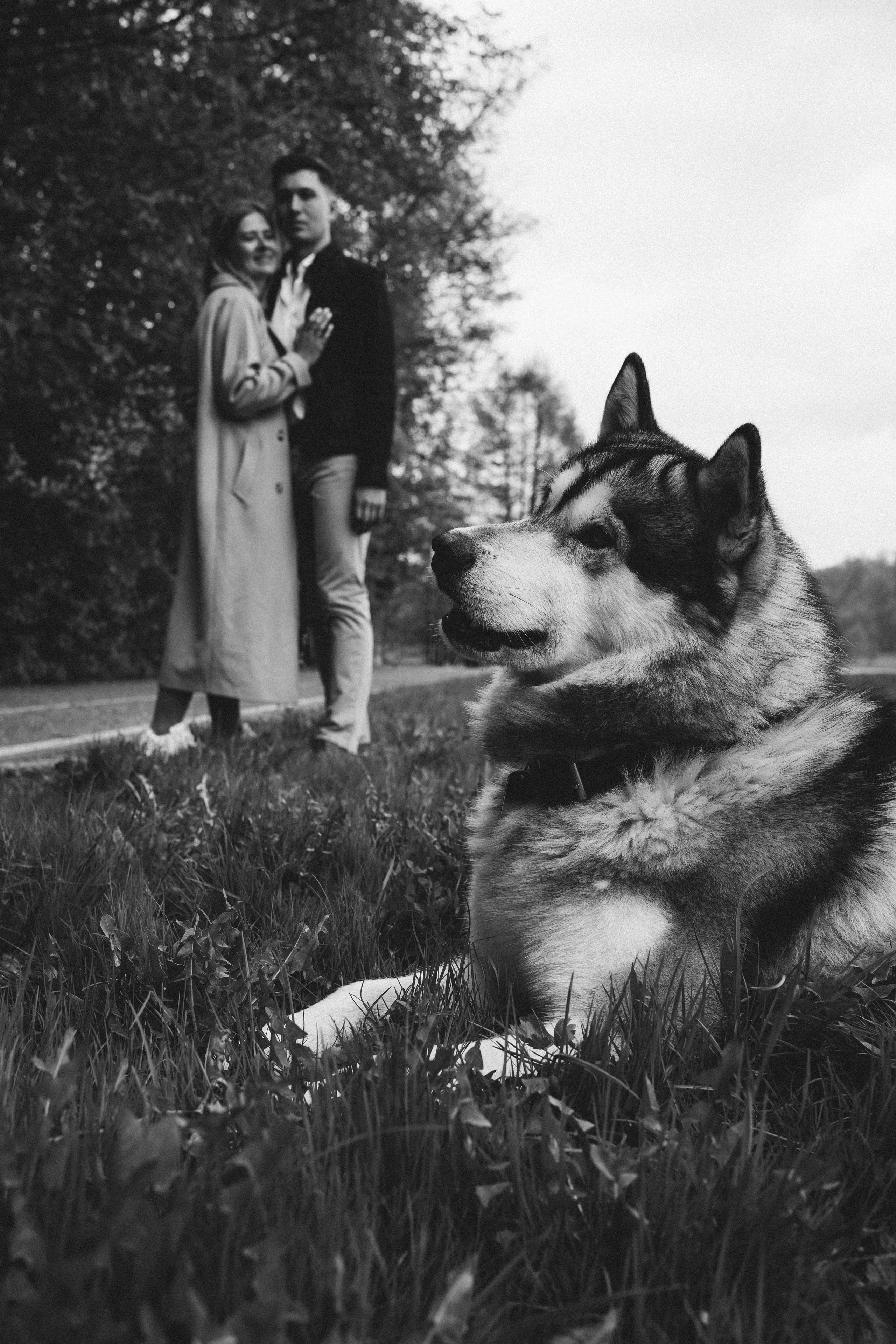 Света и Лёня. Дмитриева Светлана женский и семейный фотограф Рига, Москва, Геленджик