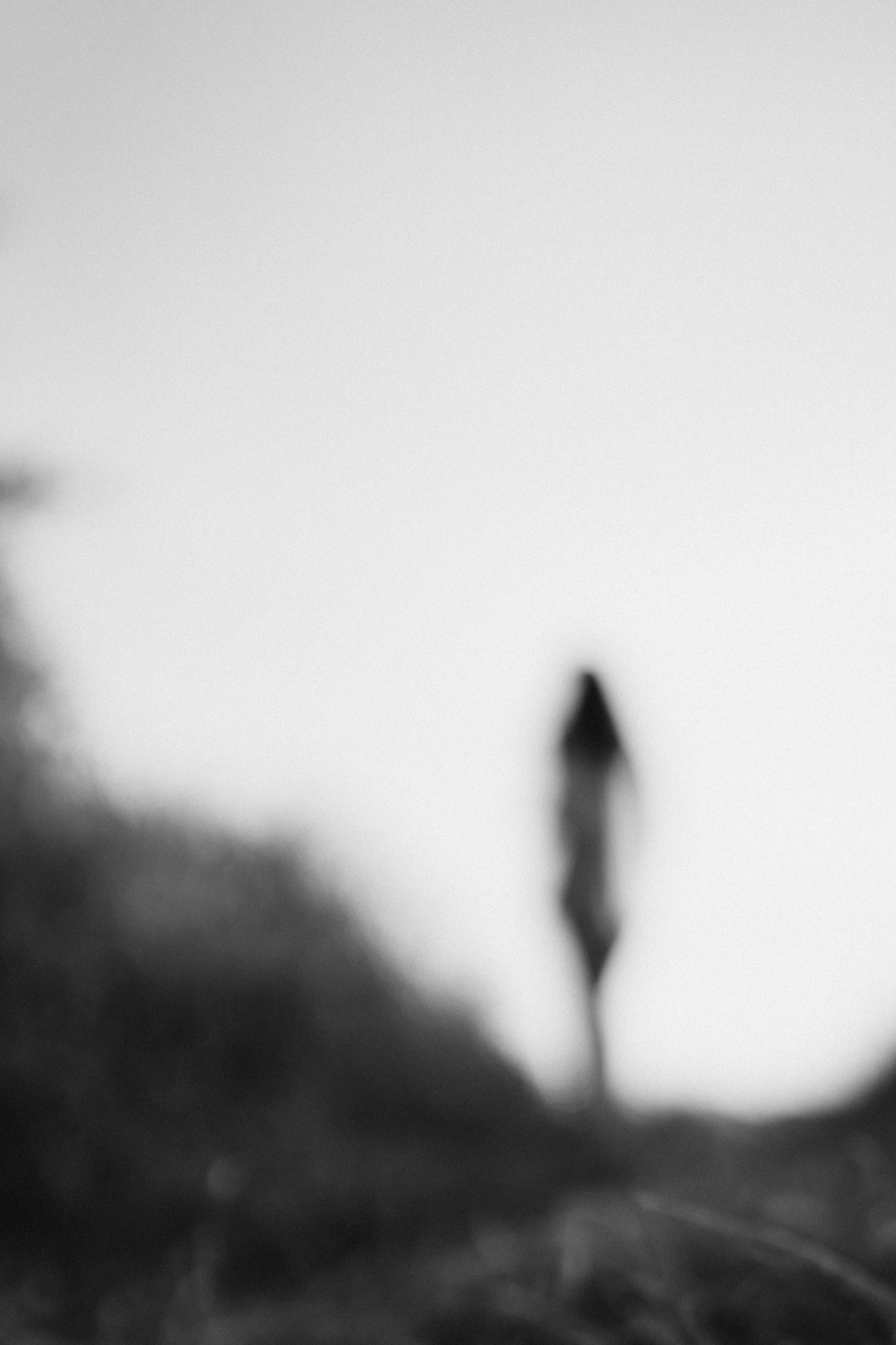 Милена. Дмитриева Светлана женский и семейный фотограф Рига, Москва, Геленджик