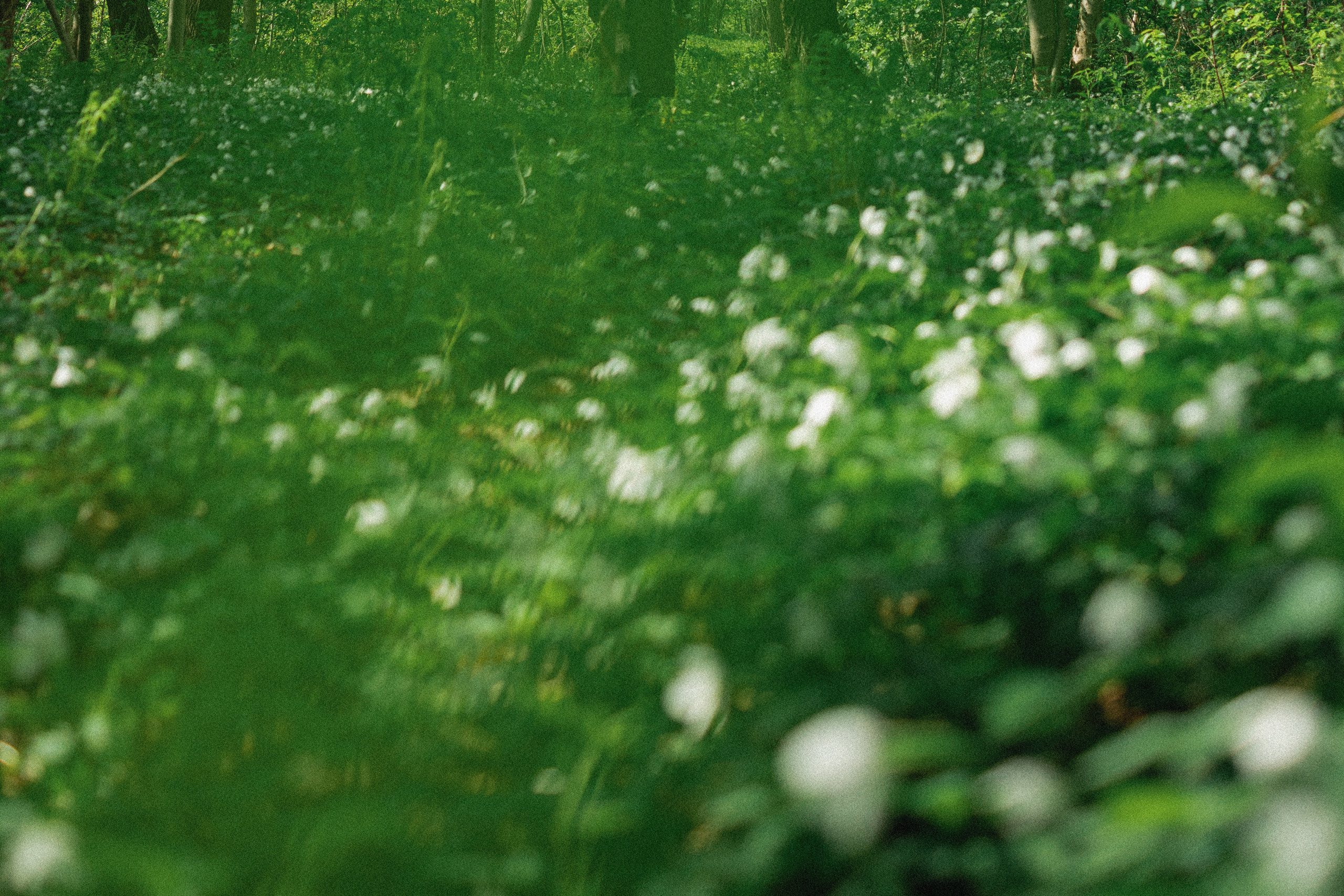 Эстетика П р о Я в л е н и я. Виноградова Маргарита. Фотограф P r o Явления