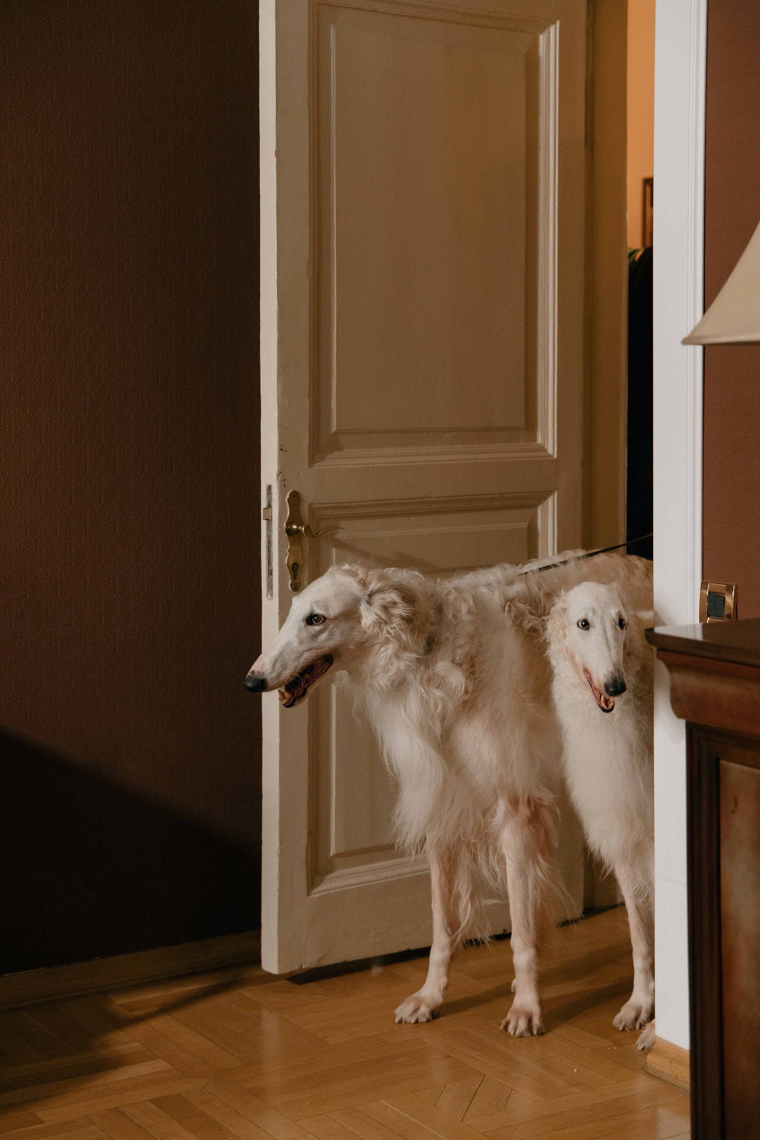 Свадебная фотосессия в дворянском стиле. Свадебный фотограф Москва