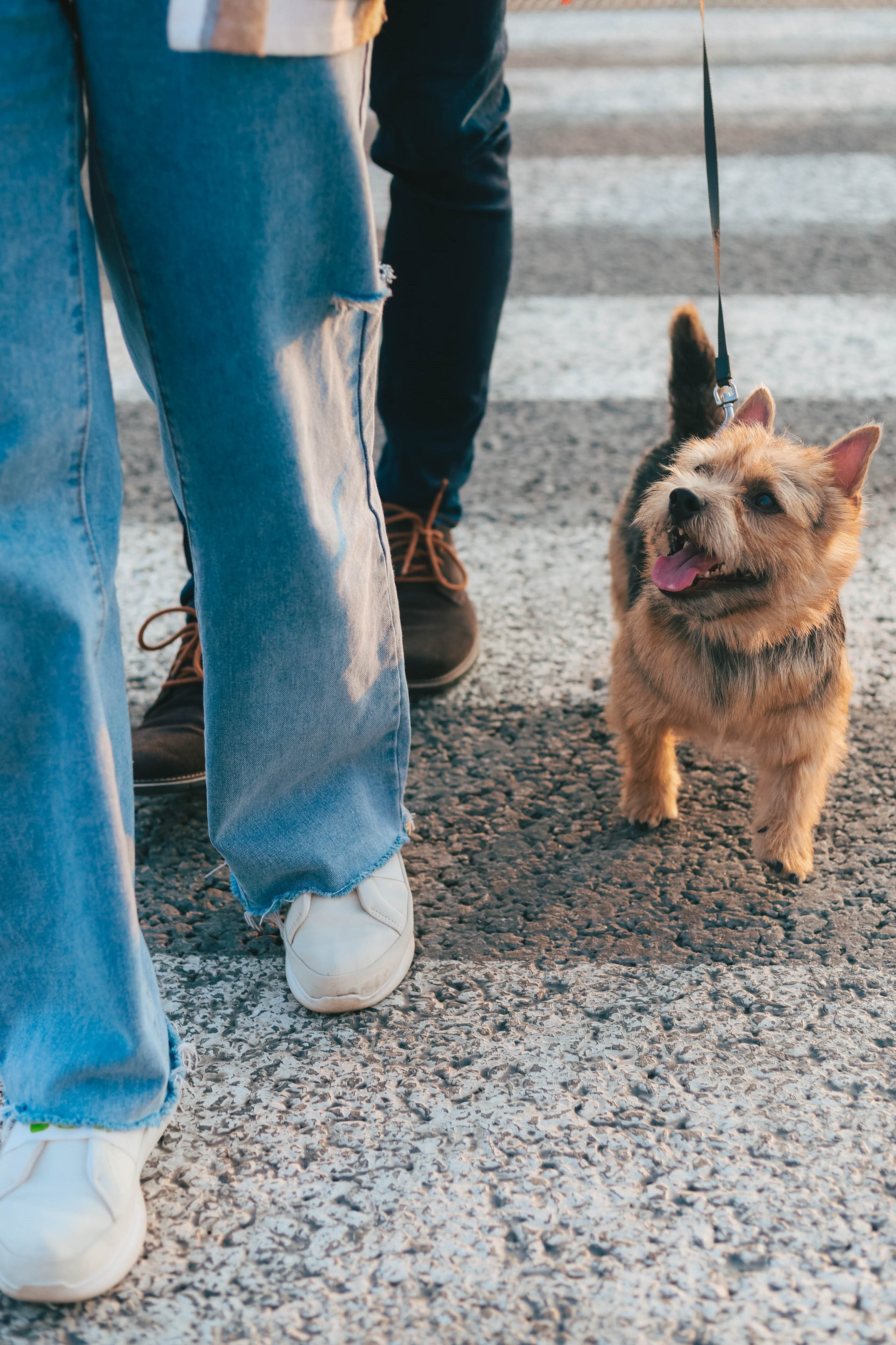 Семьи. Семейный фотограф в Москве и Зеленограде