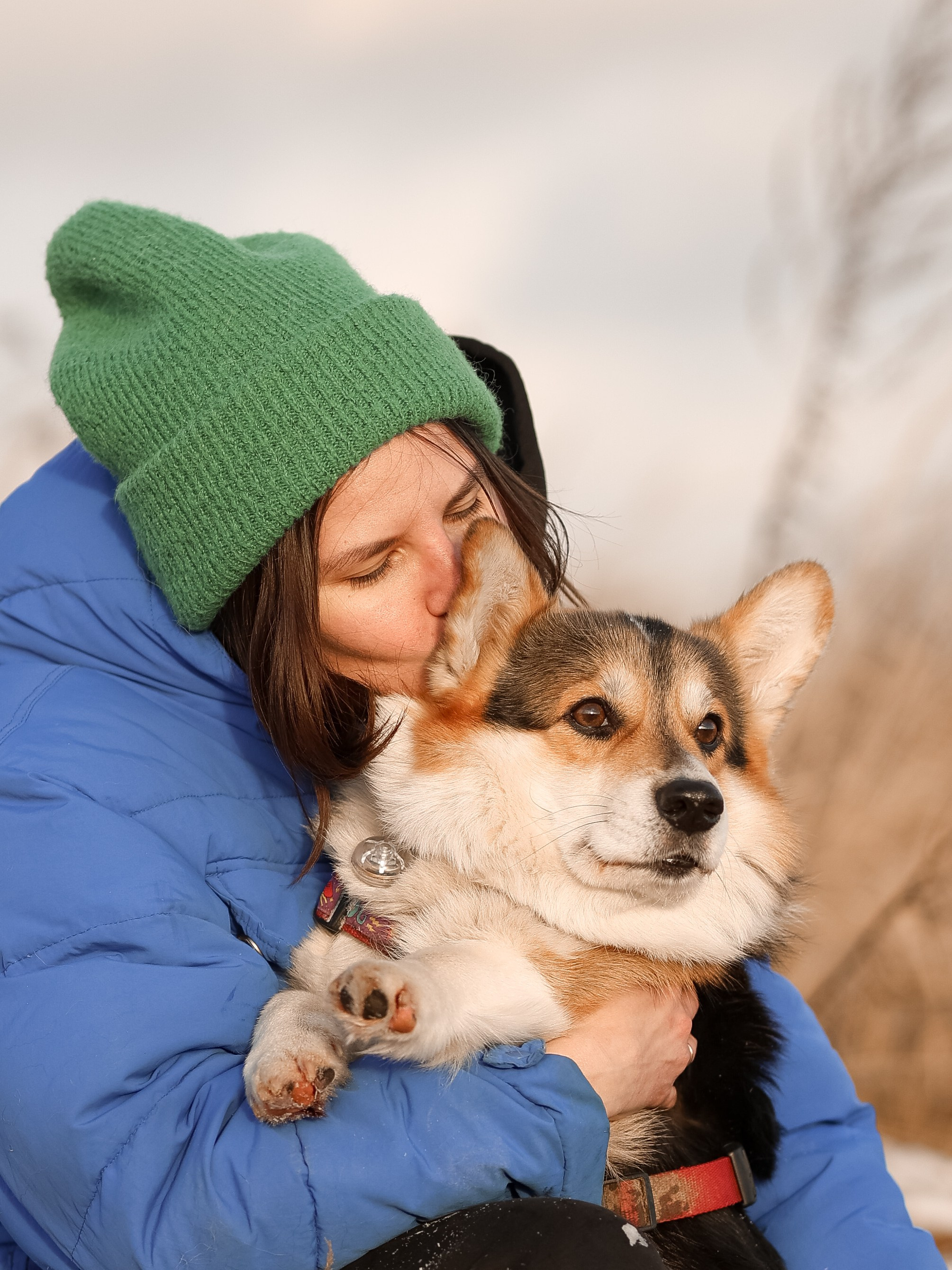 Трой, Балу и Катя. Фотограф-анималист в Москве Кириллова Татьяна