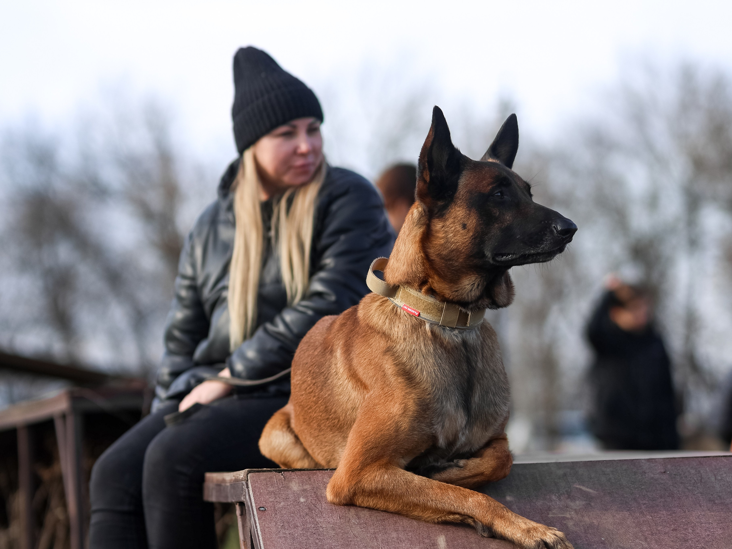 Соревнования BH. Фотограф-анималист в Москве Кириллова Татьяна