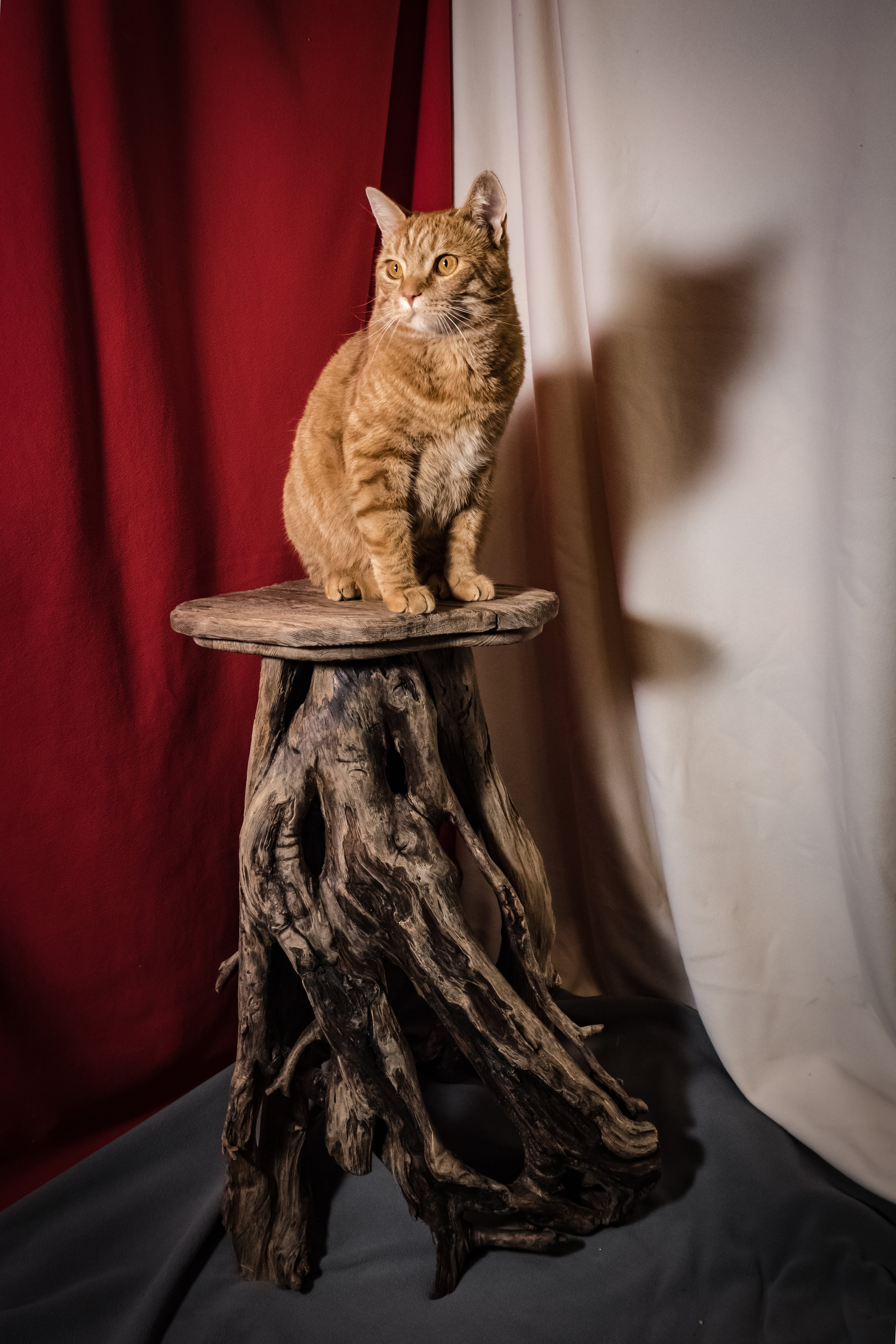 Ручная работа, Hand Made. ANTONOVLABEL — Art & Handmade