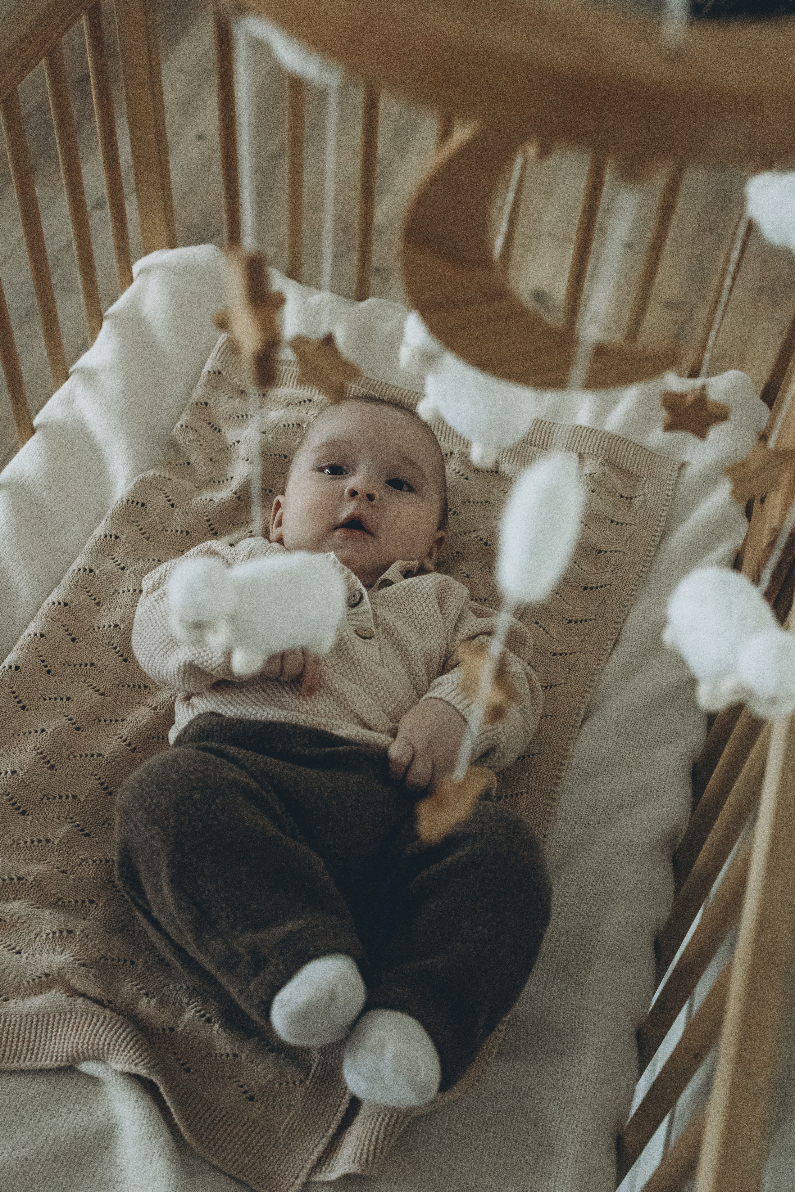 Настя, Паша, Дима и Саша. Семейный фотограф в Москве Виктория Ястребинская