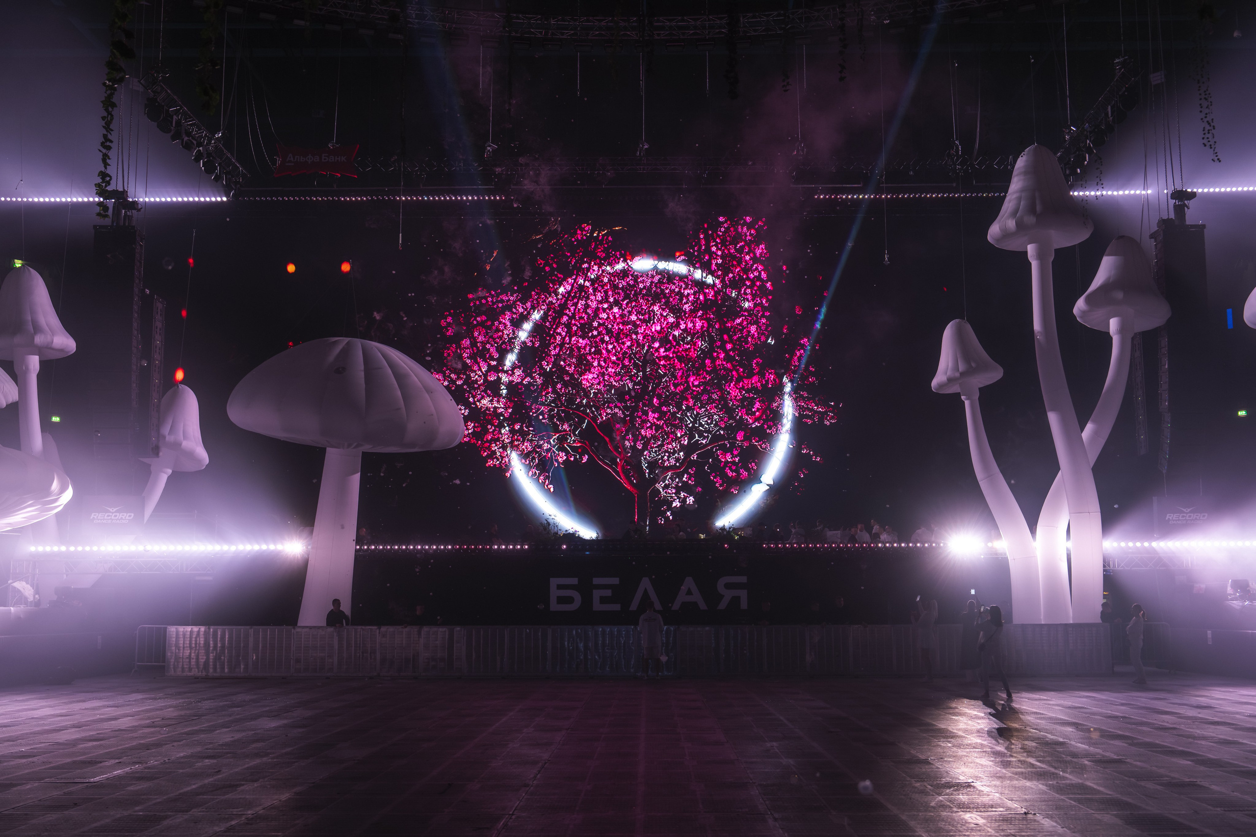 БЕЛАЯ 2025. Святослав Буньков | фотограф