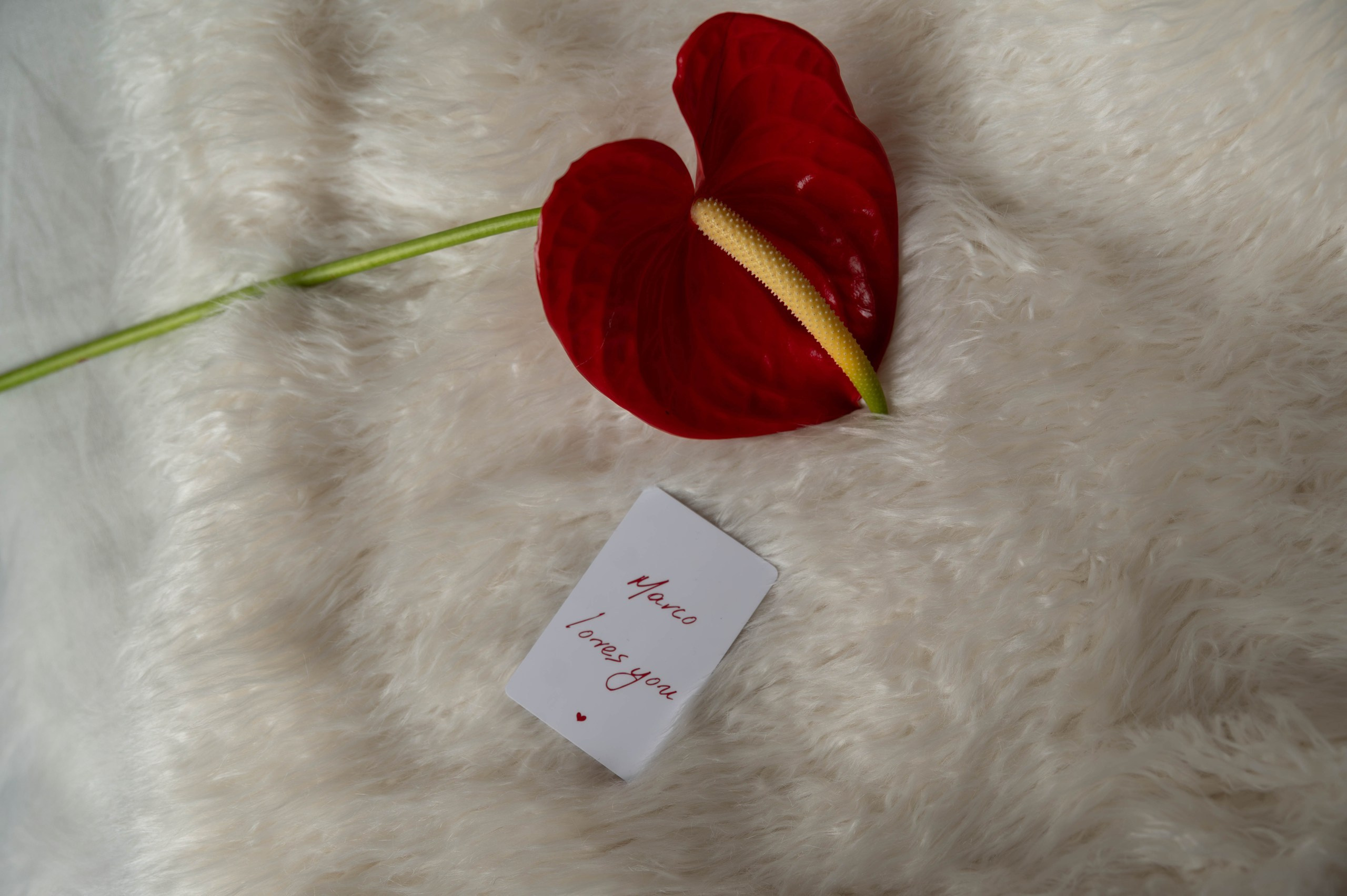 Алена & Александр. Оформление свадеб, декор свадеб Вера Маркова, Москва