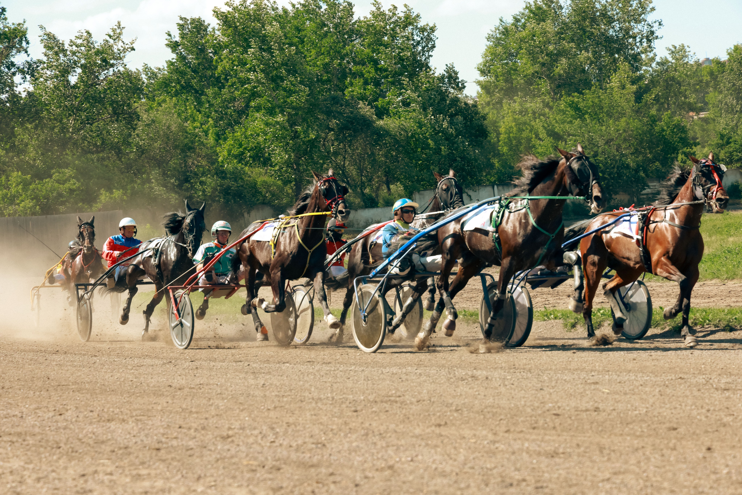 Мир вокруг нас. Разное. Фотограф Наталья Кузьмик г. Красноярск