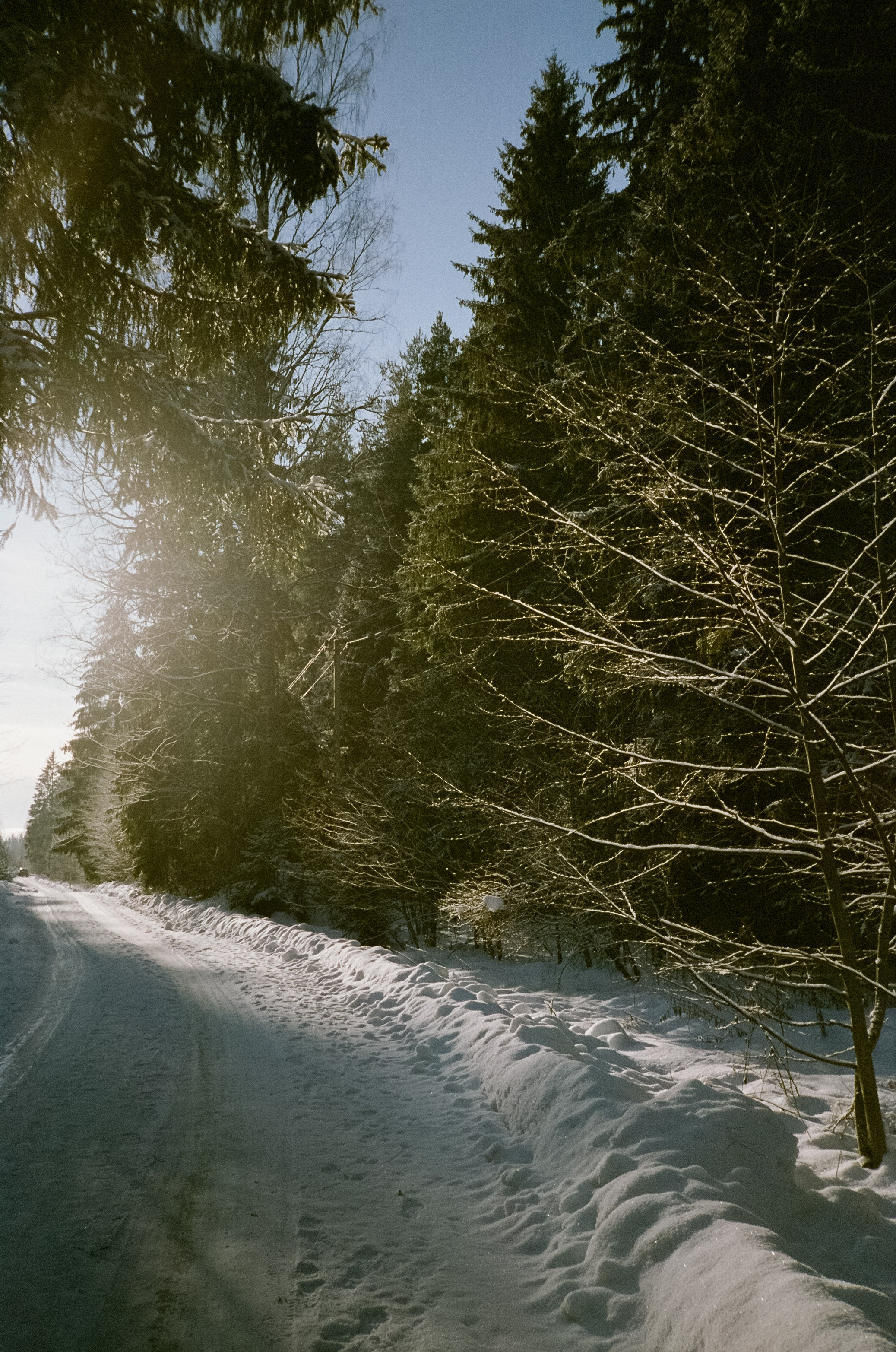 Chinon Auto 3001 (2) / Fuji Eterna 250D (ISO 100) / Давыдовское, Лукин